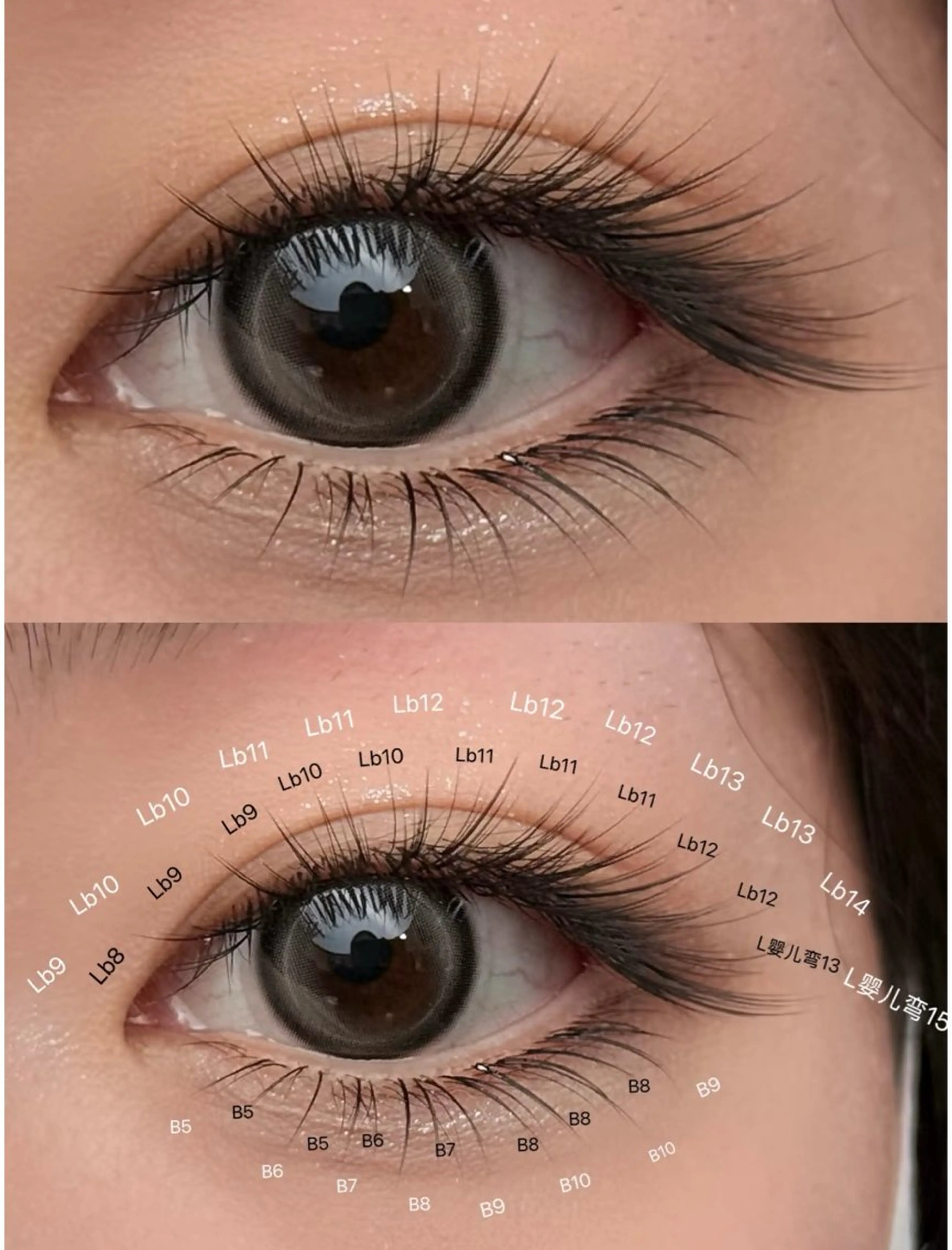 マツエク・マツパ Honel 🧸まつエクのマツエク・マツパデザイン