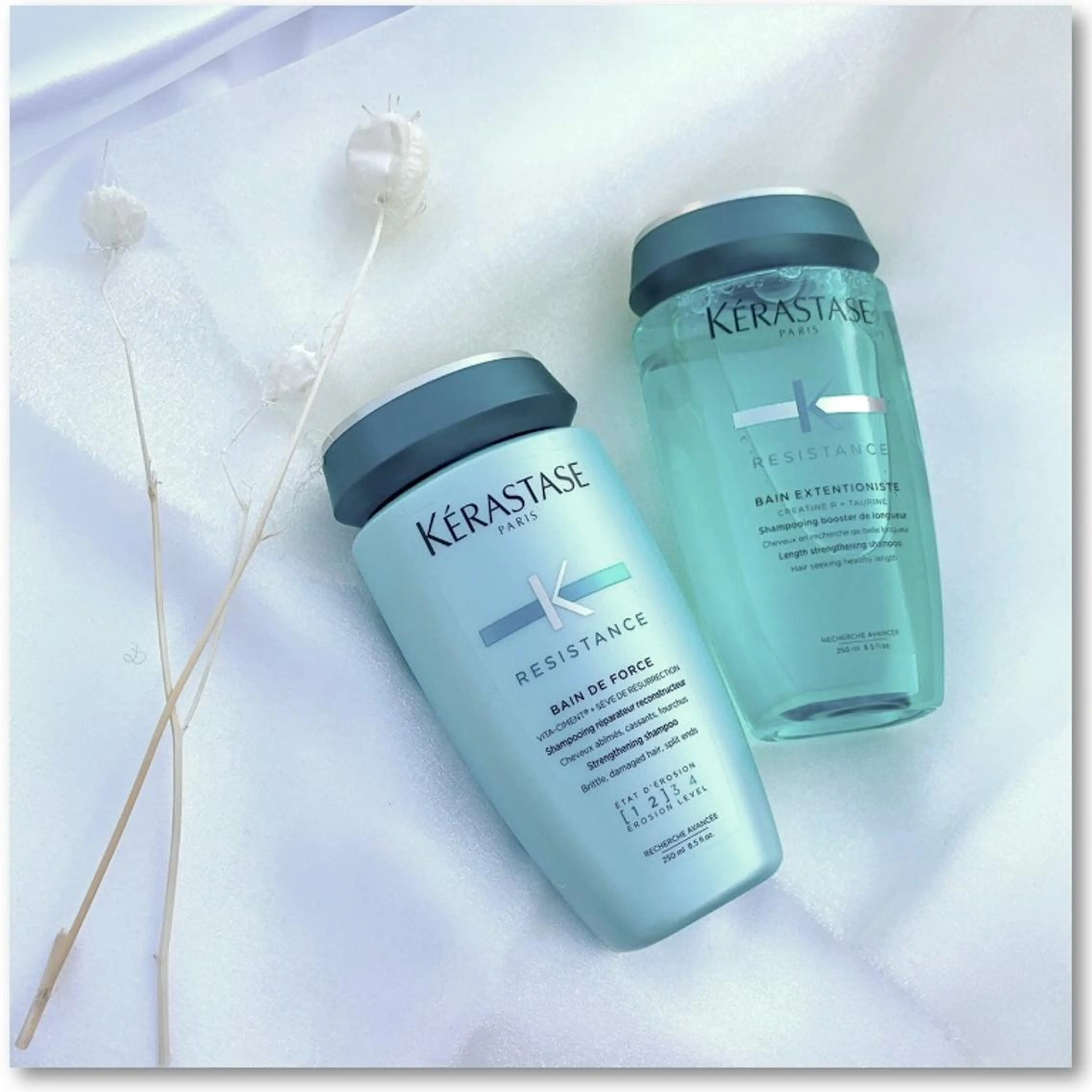 ショート カラー パーマ ヘアアレンジ メンズ メンズバレイヤージュ メンズブリーチ メンズハイライト メンズハイトーン メンズインナーカラー カット ヘアカラー トリートメント 初めでも安心🌟 newi町田✂のヘアスタイル