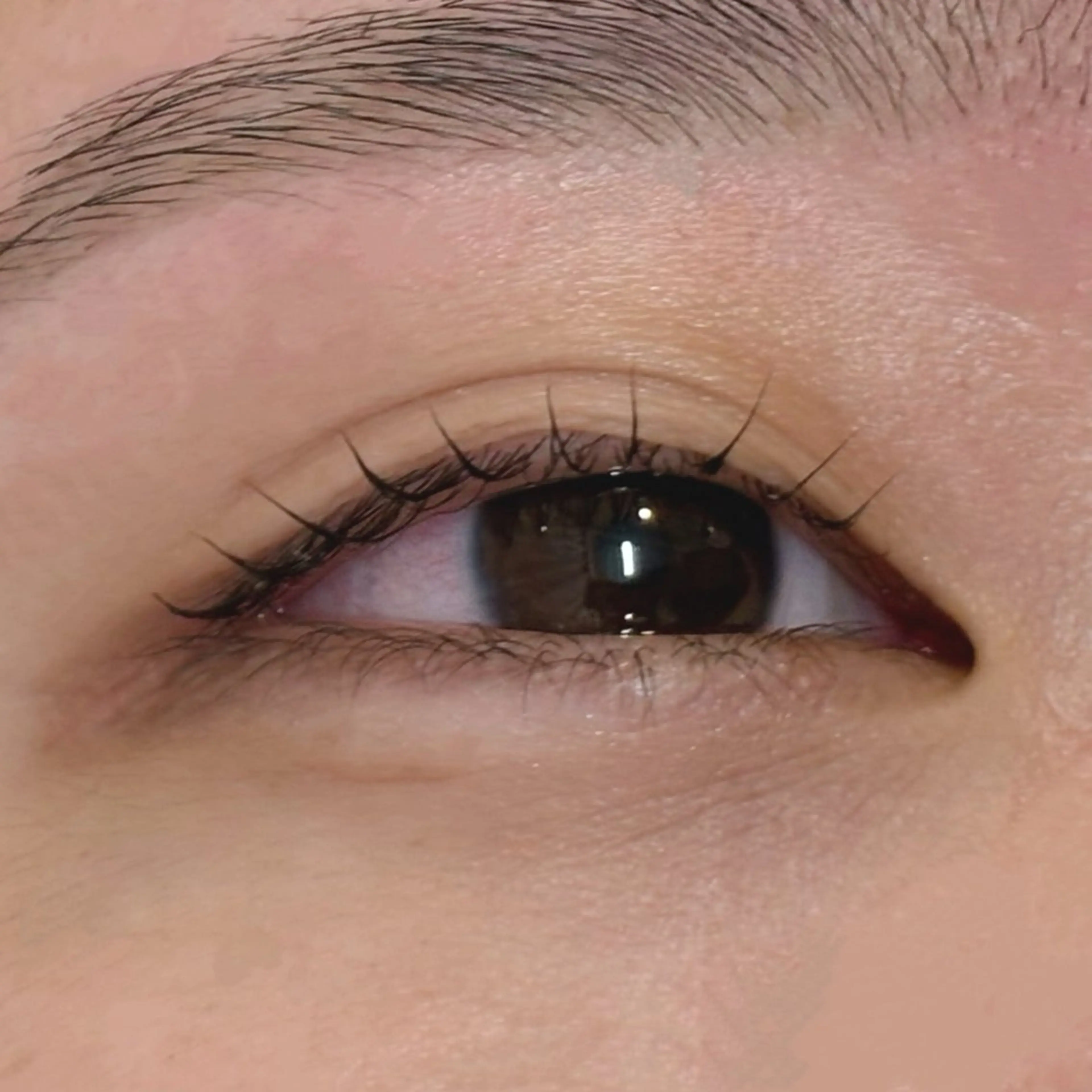 マツエク・マツパ MASAMI / 四条烏丸店のマツエク・マツパデザイン