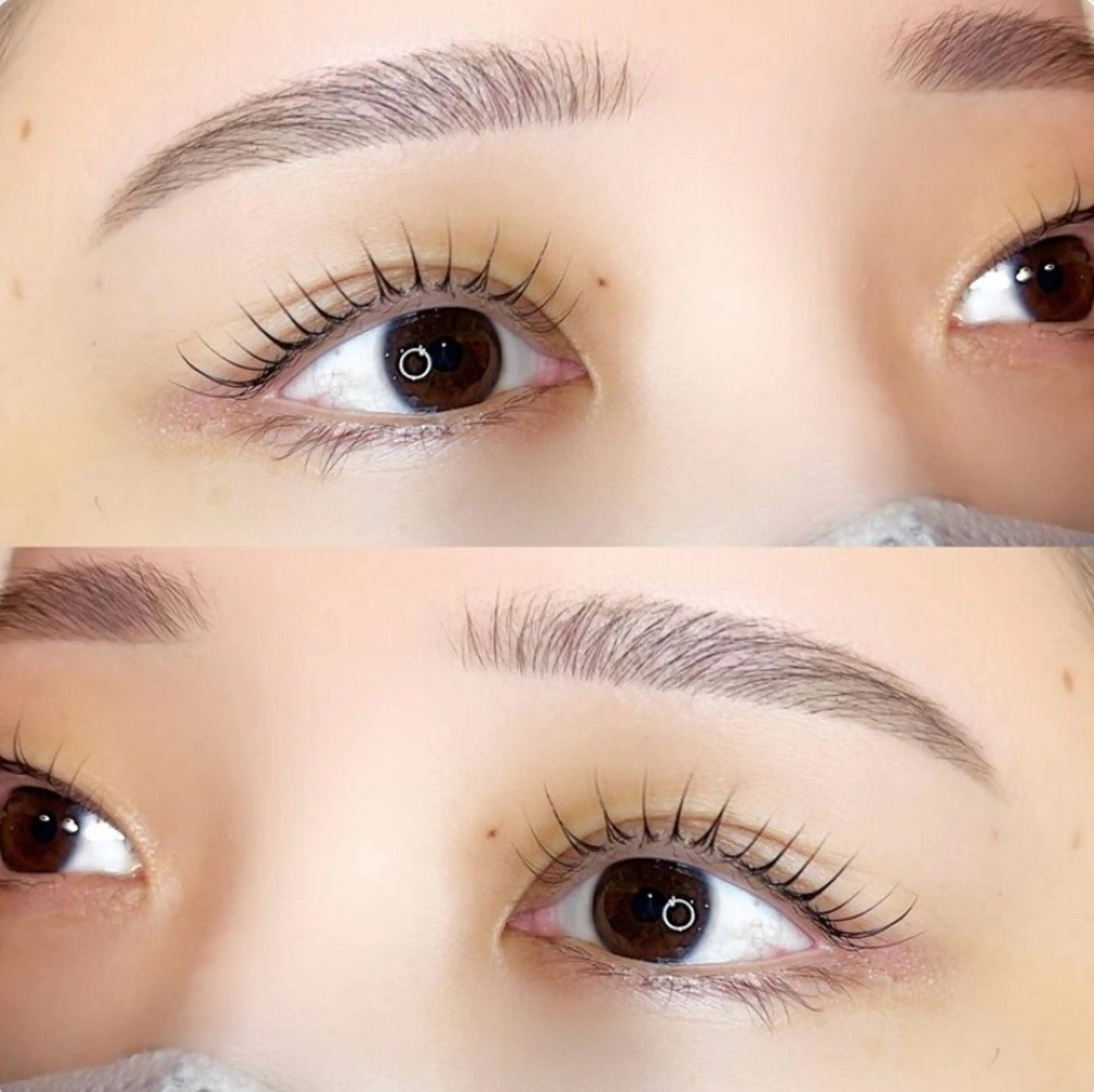 🏵️まつ毛パーマorパリジェンヌ＋美眉スタイリング🏵️の写真