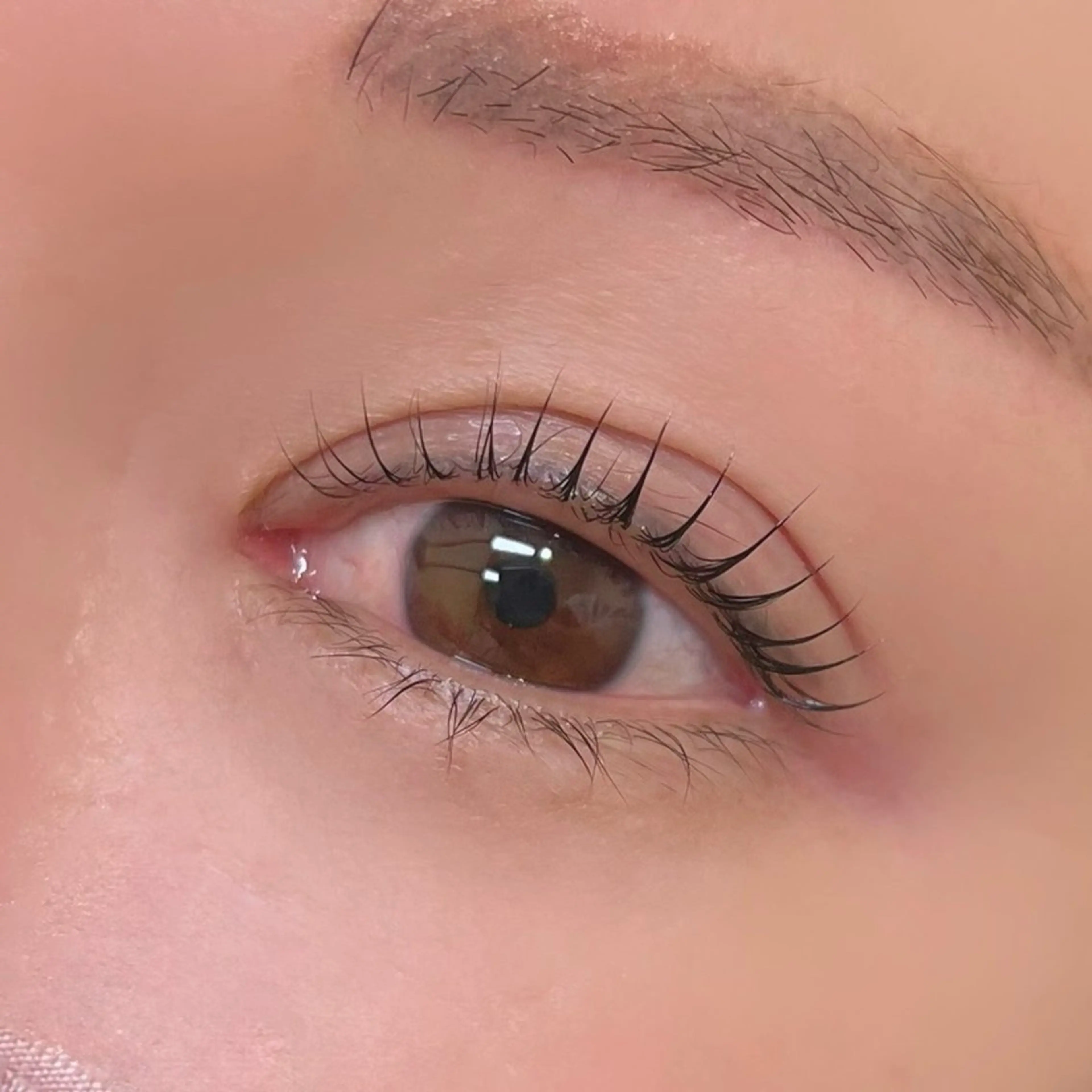 マツエク・マツパ chouchou. 橘のマツエク・マツパデザイン