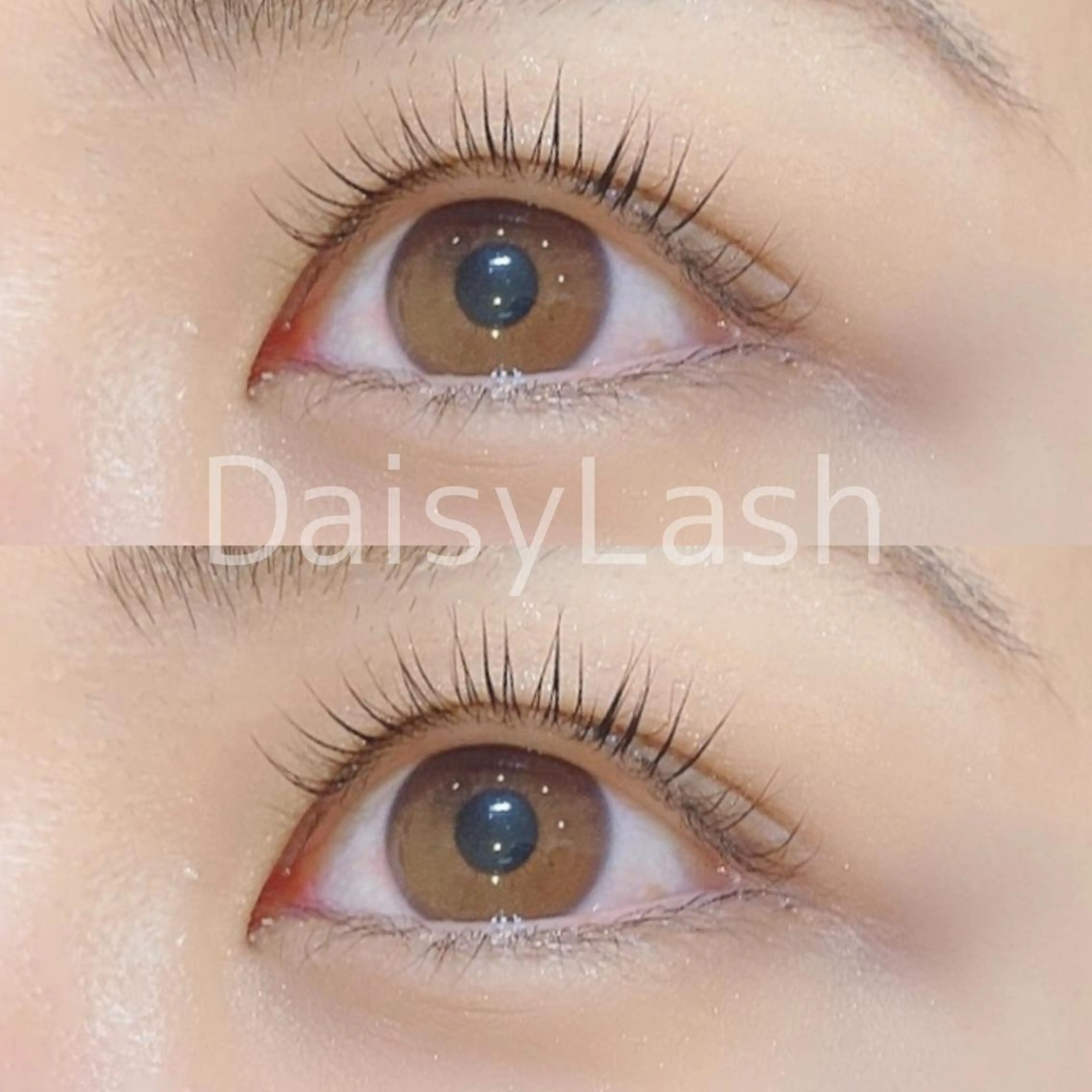 マツエク・マツパ DaisyLash 京橋店のマツエク・マツパデザイン