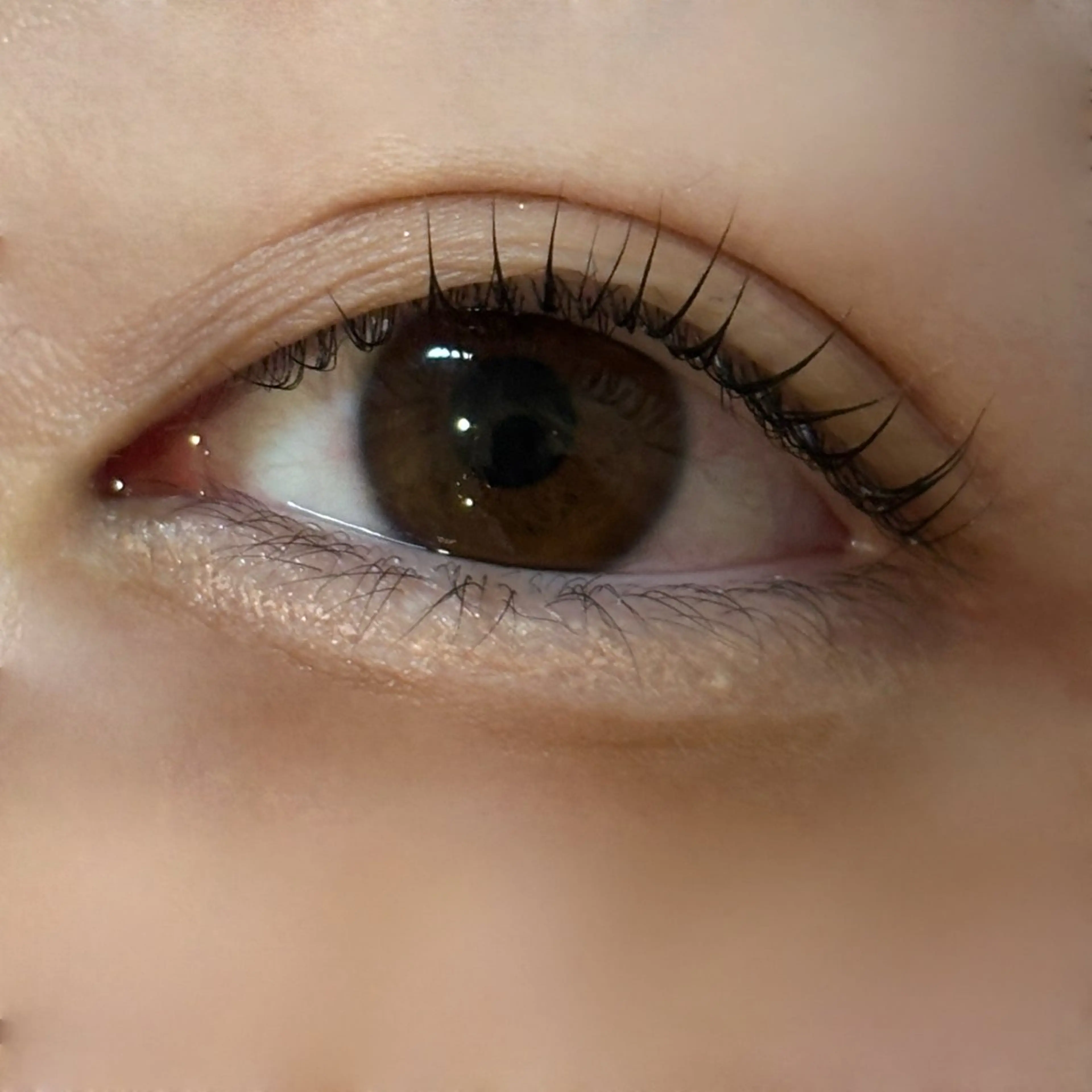 マツエク・マツパ 束感まつ毛 jessica🪽 yoshida🩰のマツエク・マツパデザイン