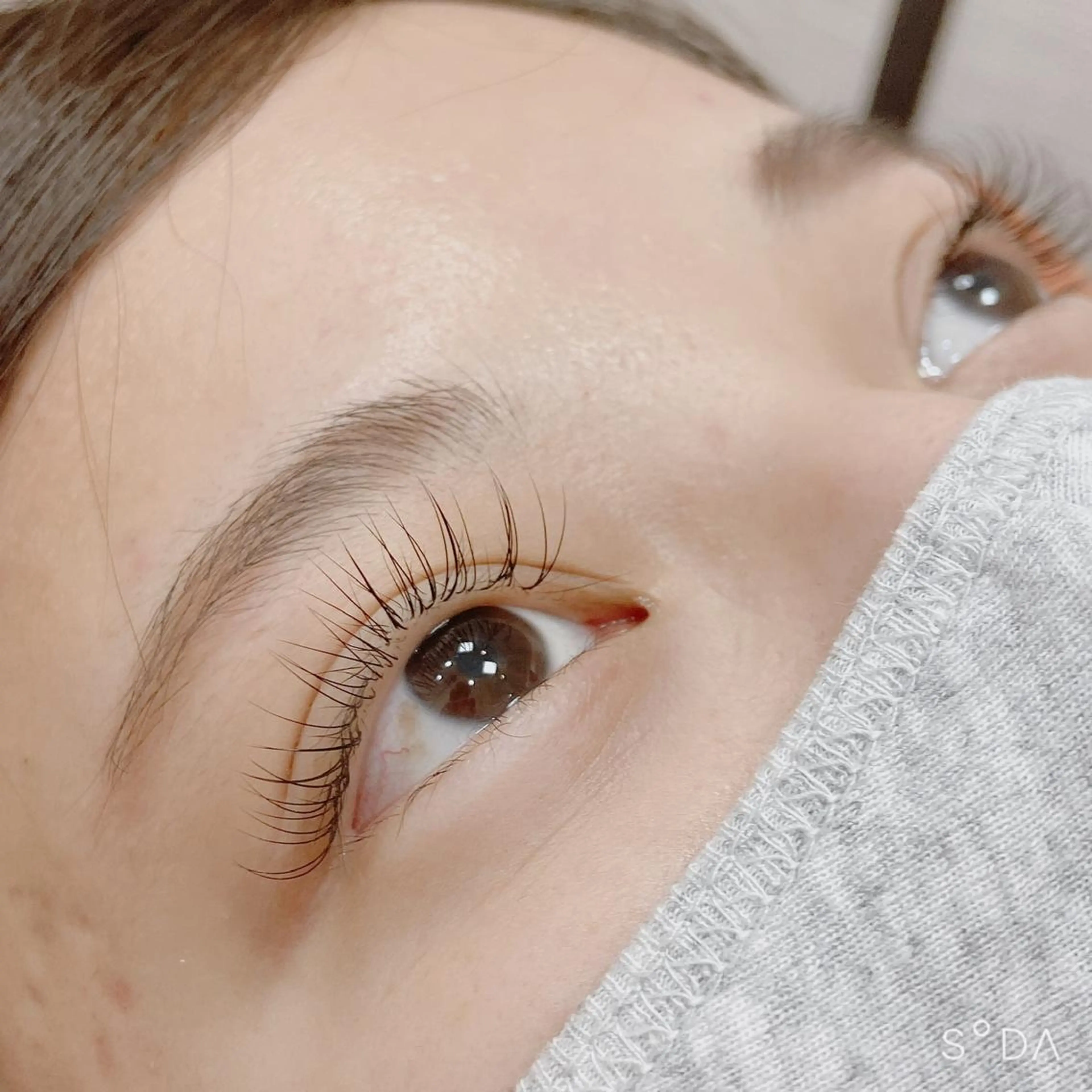 上80本まで付け放題の写真