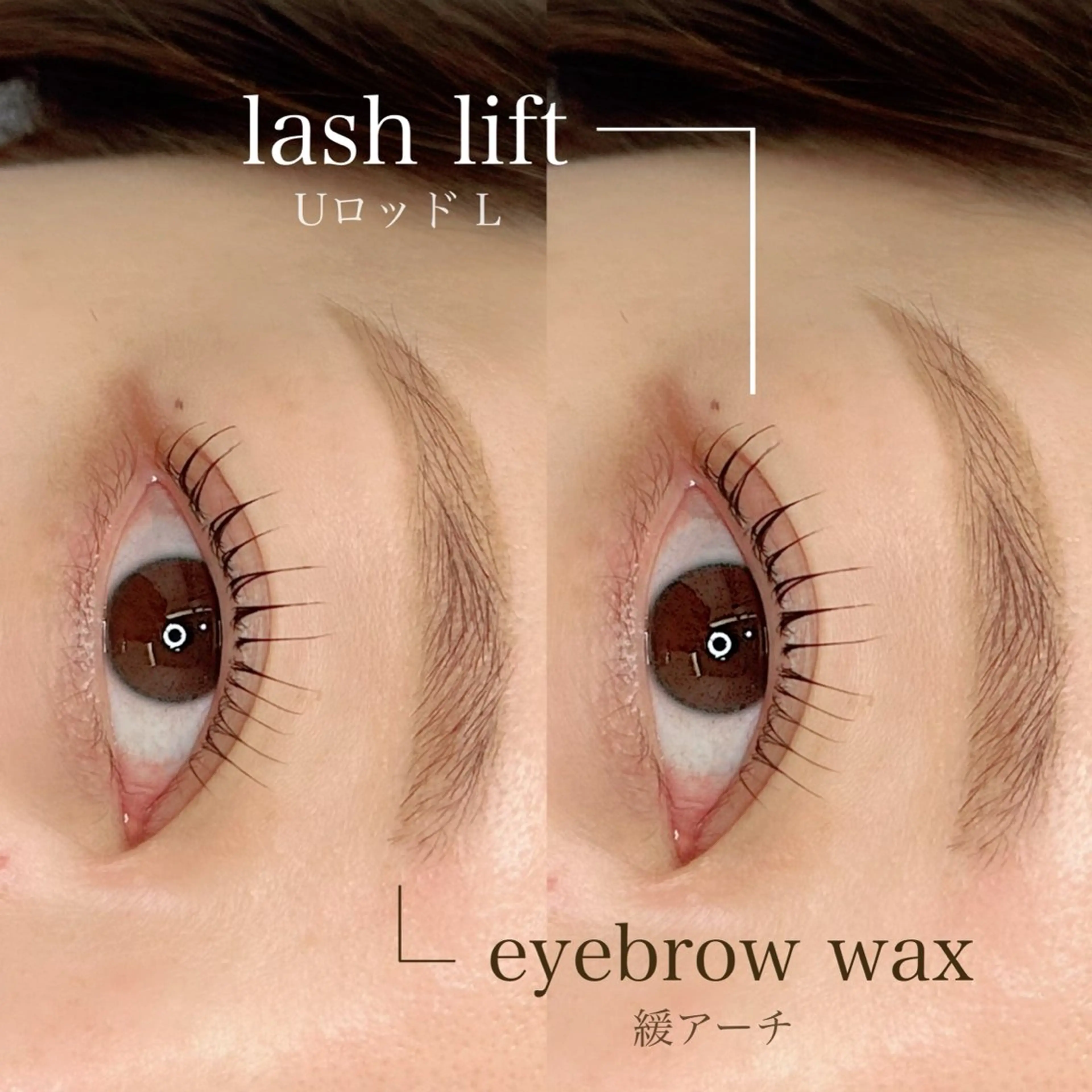 【目元トータルケア👀💞】美眉スタイリング＋まつげパーマの写真