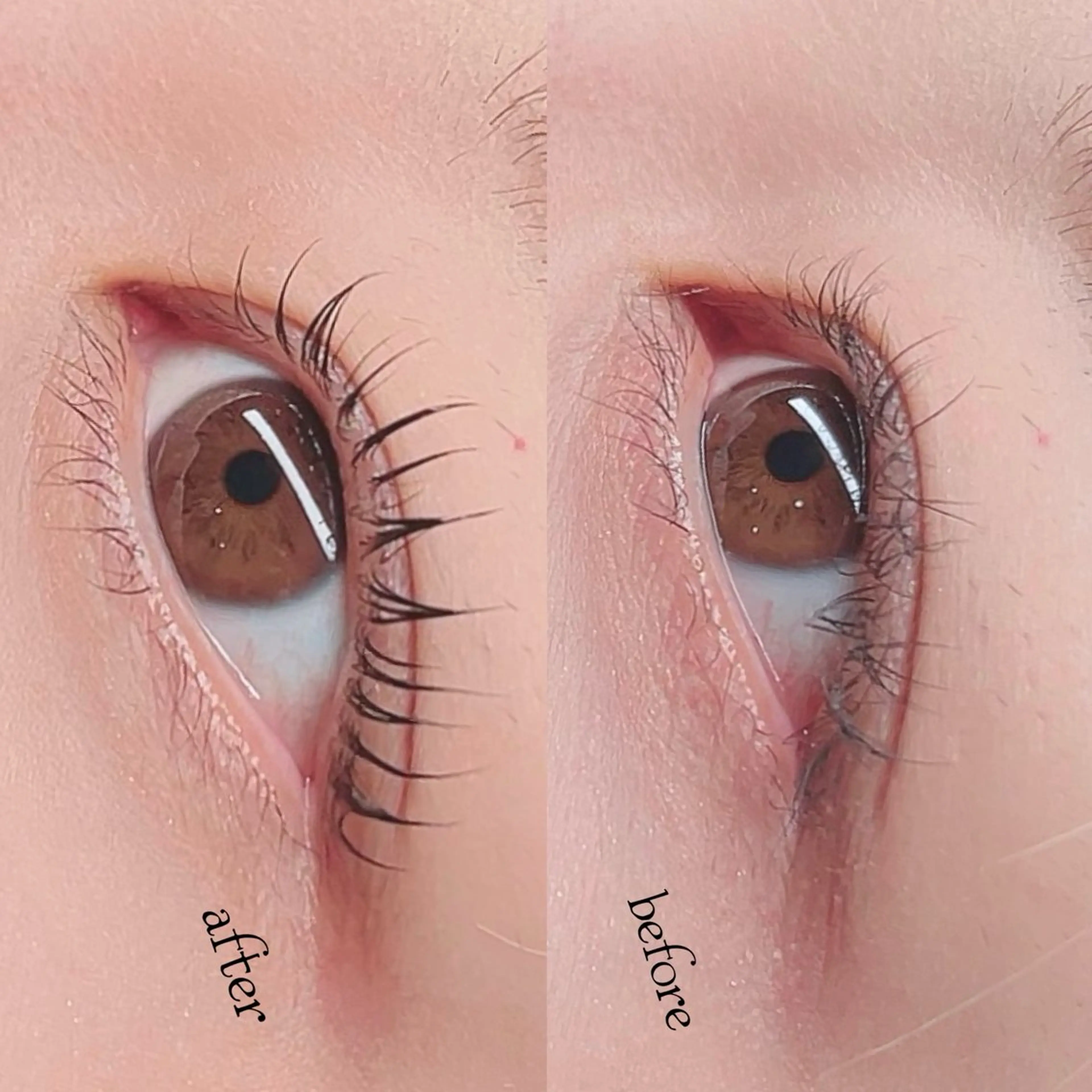 まつ毛パーマの写真