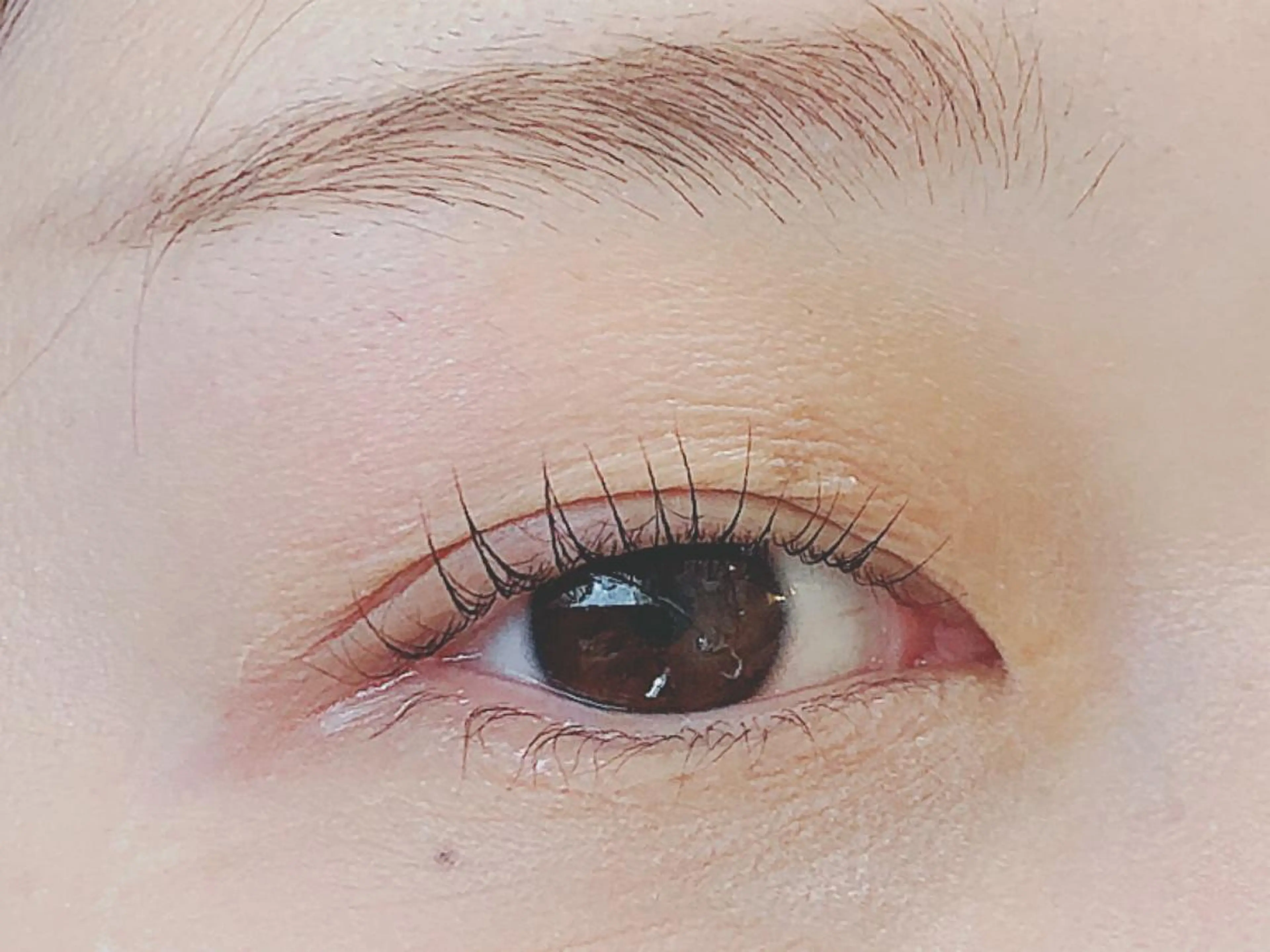 マツエク・マツパ パリジェンヌラッシュリフト 和田 真弥の眉毛・アイブロウイメージ