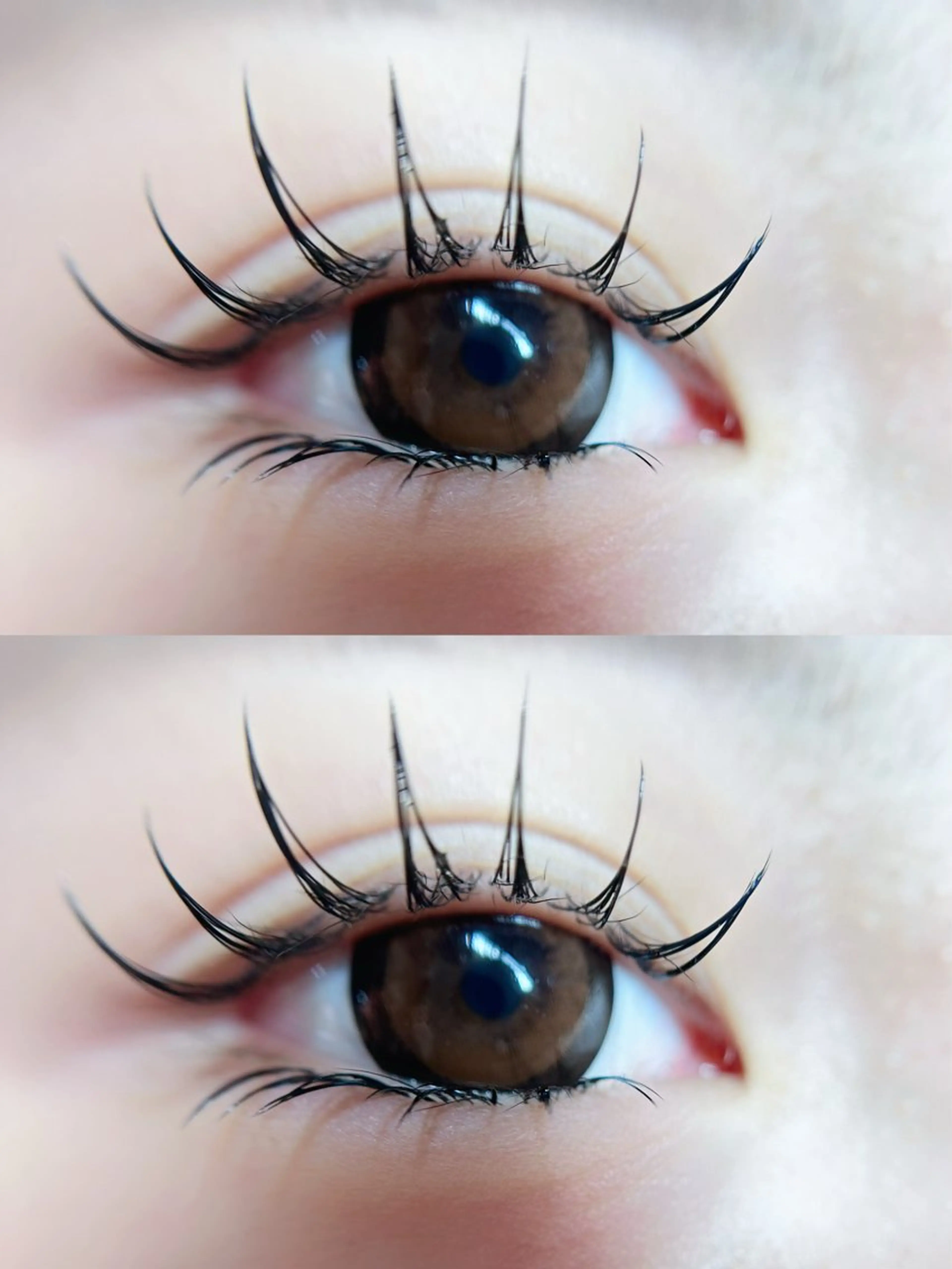 マツエク・マツパ ワンホンデザイン 専門店 FOIのマツエク・マツパデザイン