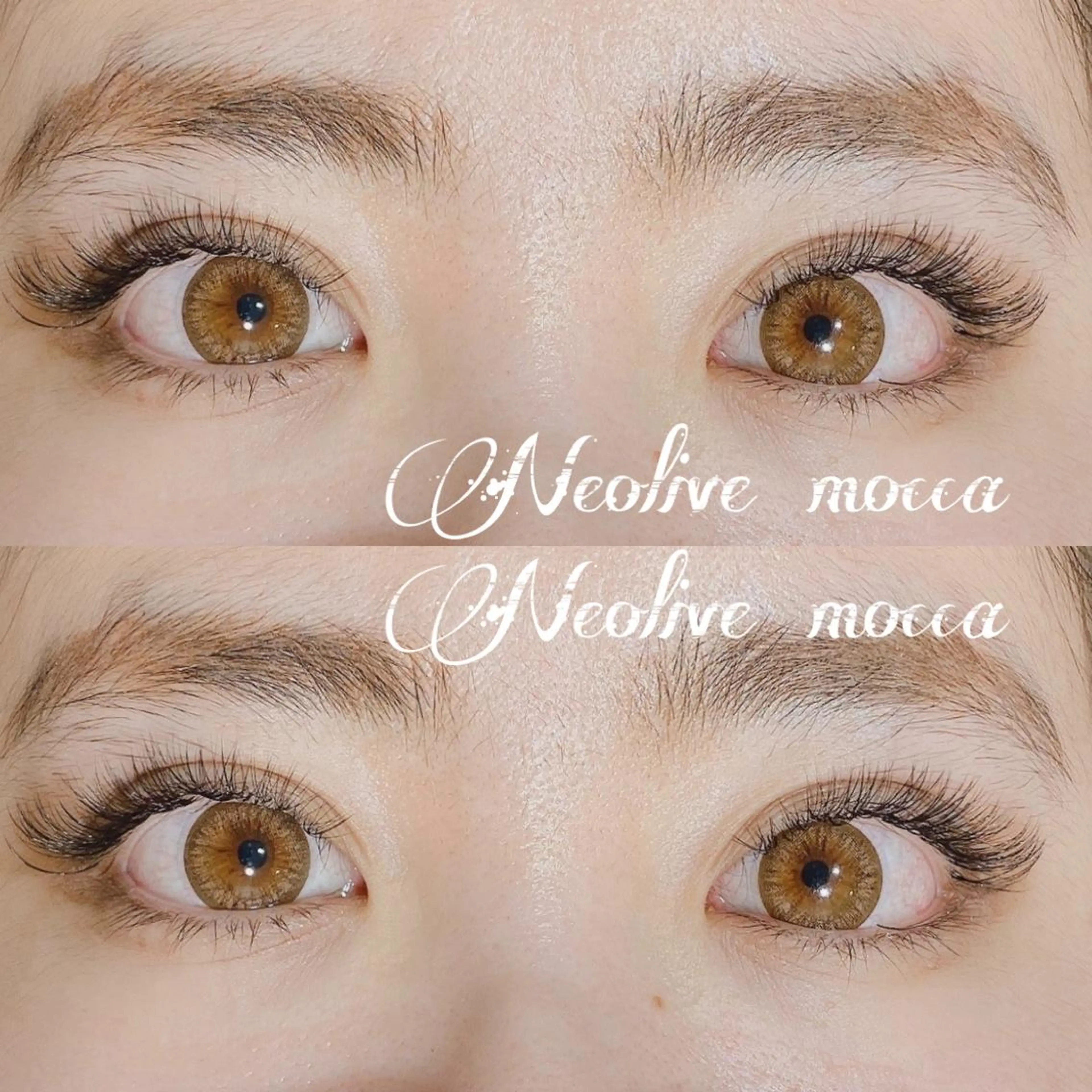 マツエク・マツパ ボリュームラッシュ mocca🕊🫧 ayamiのマツエク・マツパデザイン