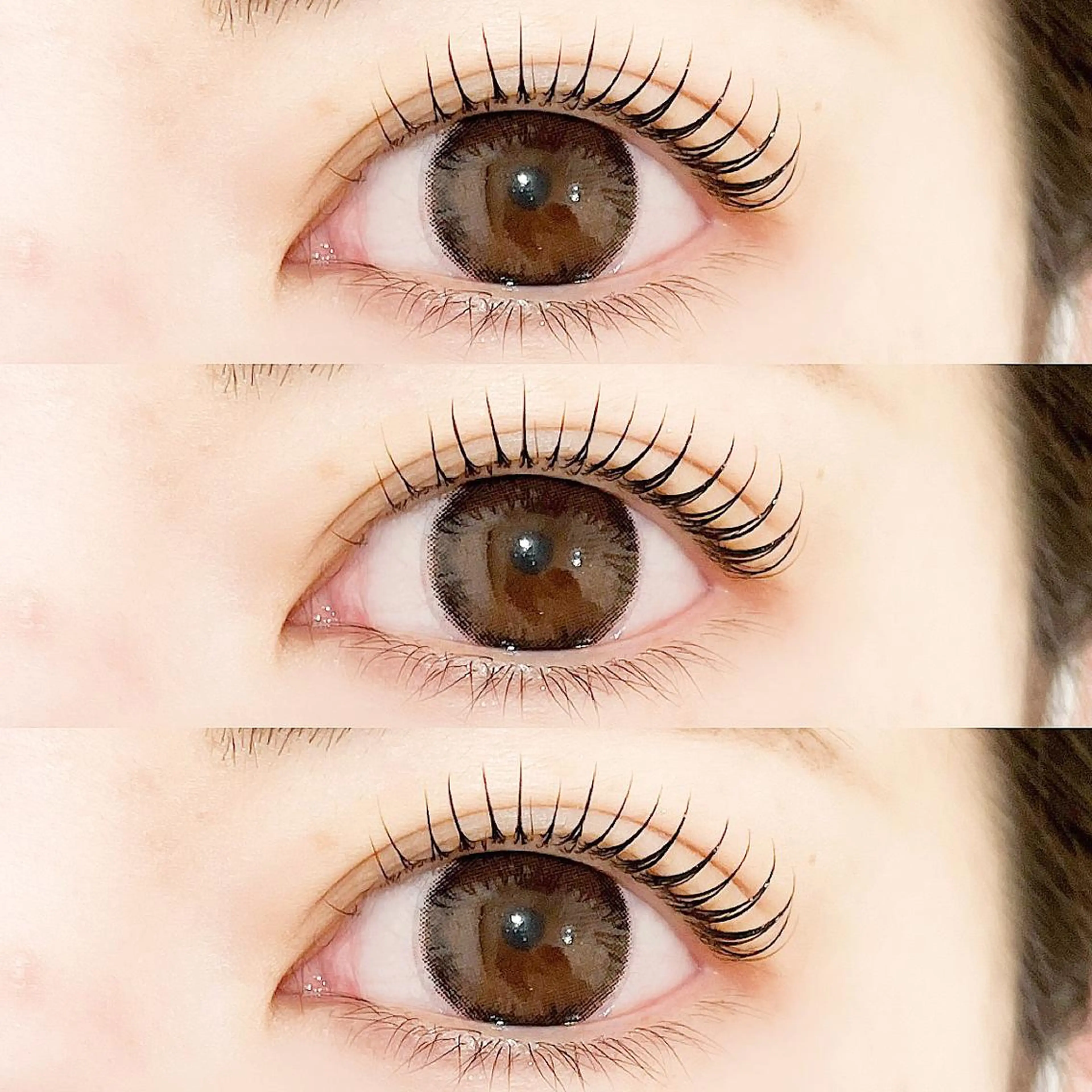 ãããã¢éå®ãðäžäžã©ãã·ã¥ãªããðã®åç