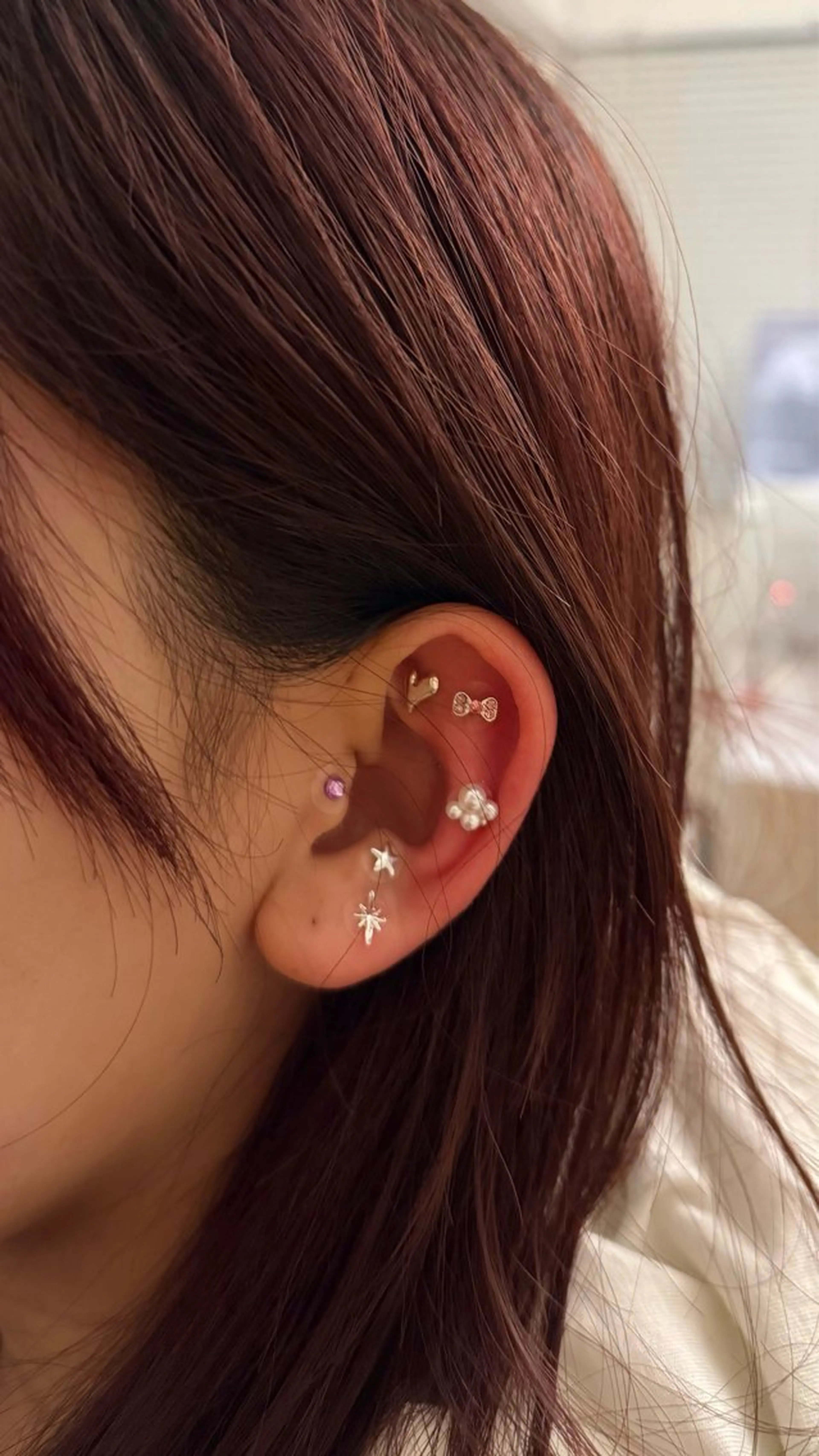 B.napus/mimi2bo所属・B.napus Nanohaのその他イメージ