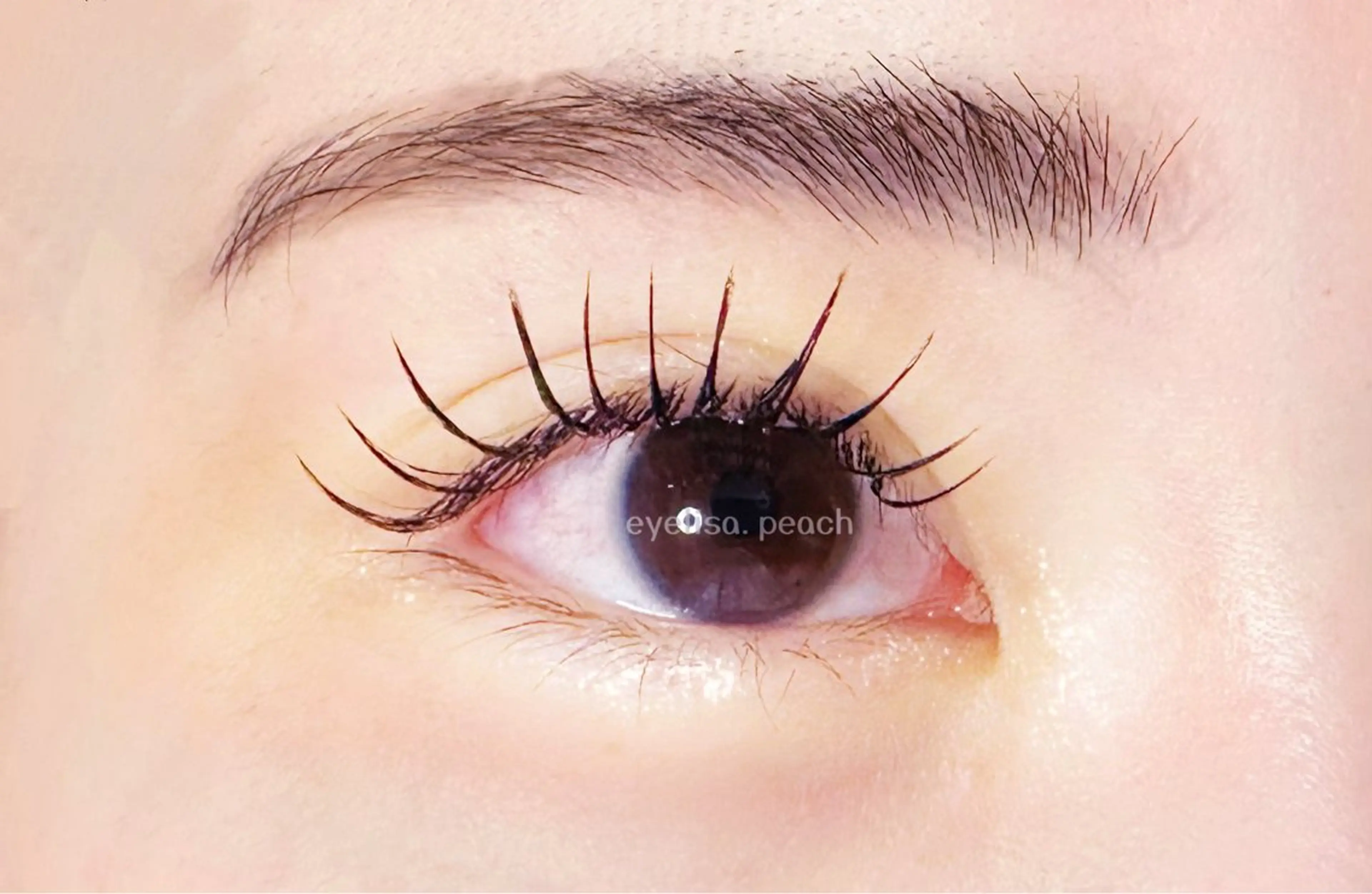 マツエク・マツパ Cカール Dカール Peach あんずのマツエク・マツパデザイン