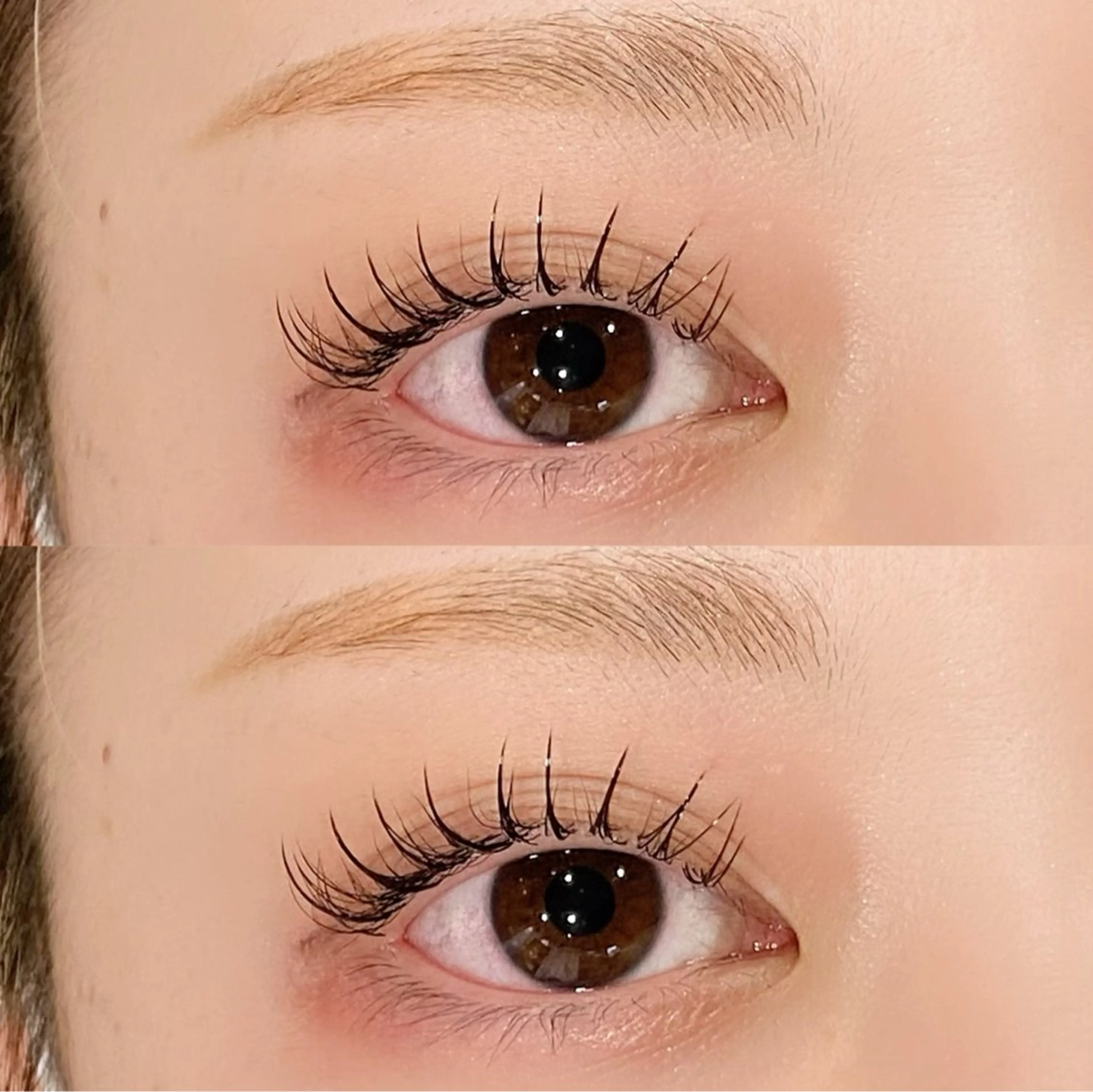 ⛲️フラットラッシュ120本⛲️の写真