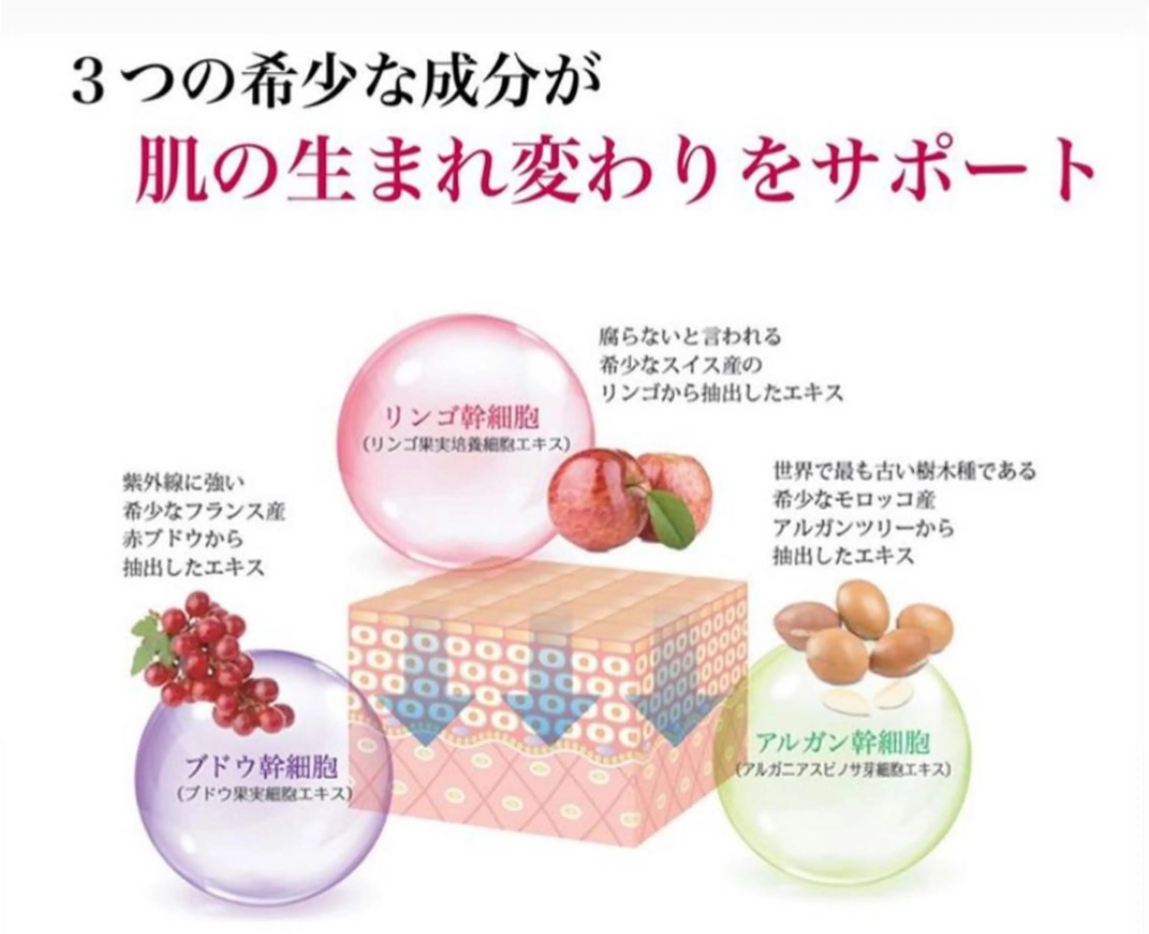 映子　〜次世代 リラクゼーション〜のエステ・リラクイメージ