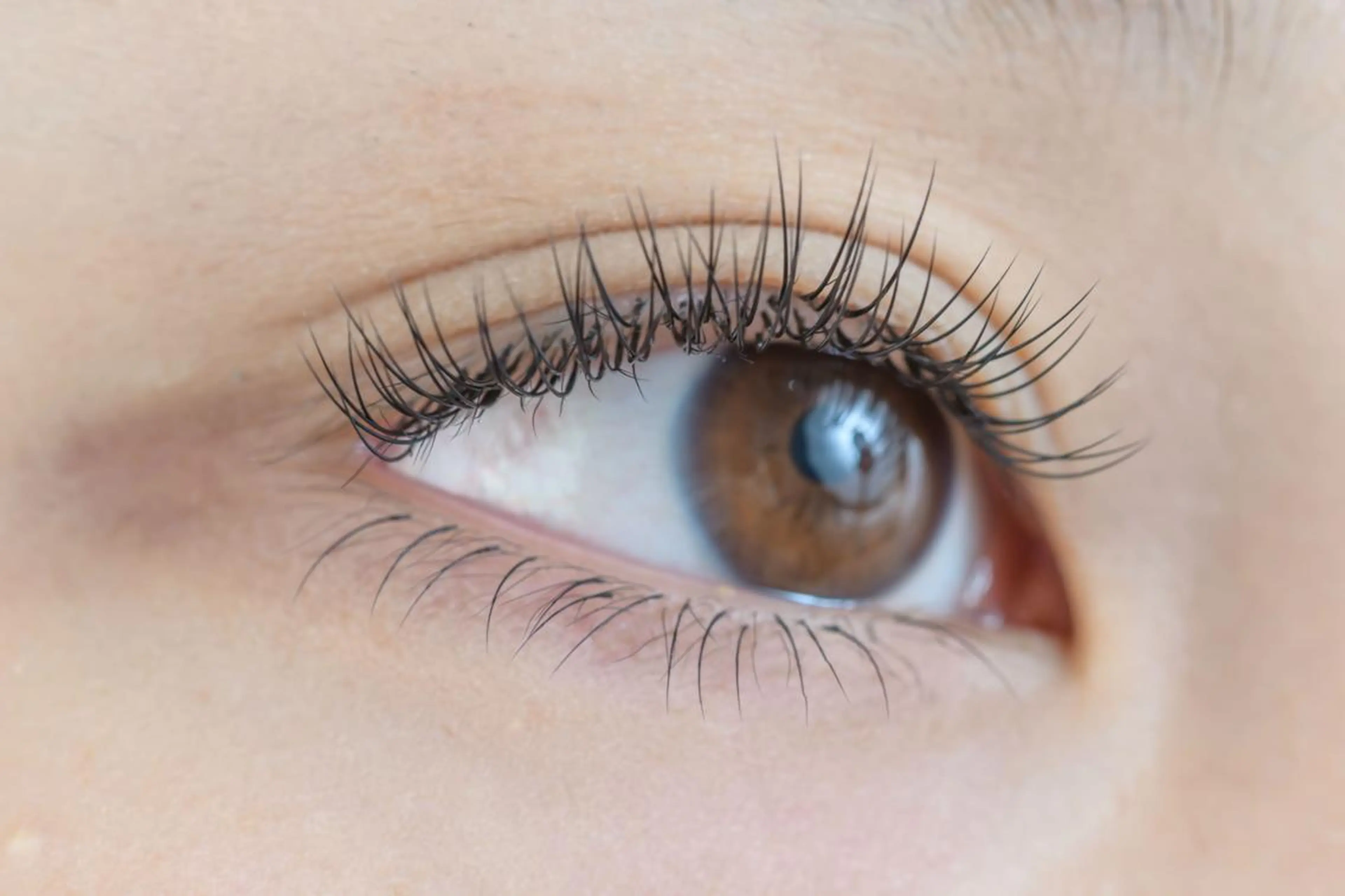 マツエク・マツパ セーブル アイサロン フェア 海老名店のマツエク・マツパデザイン