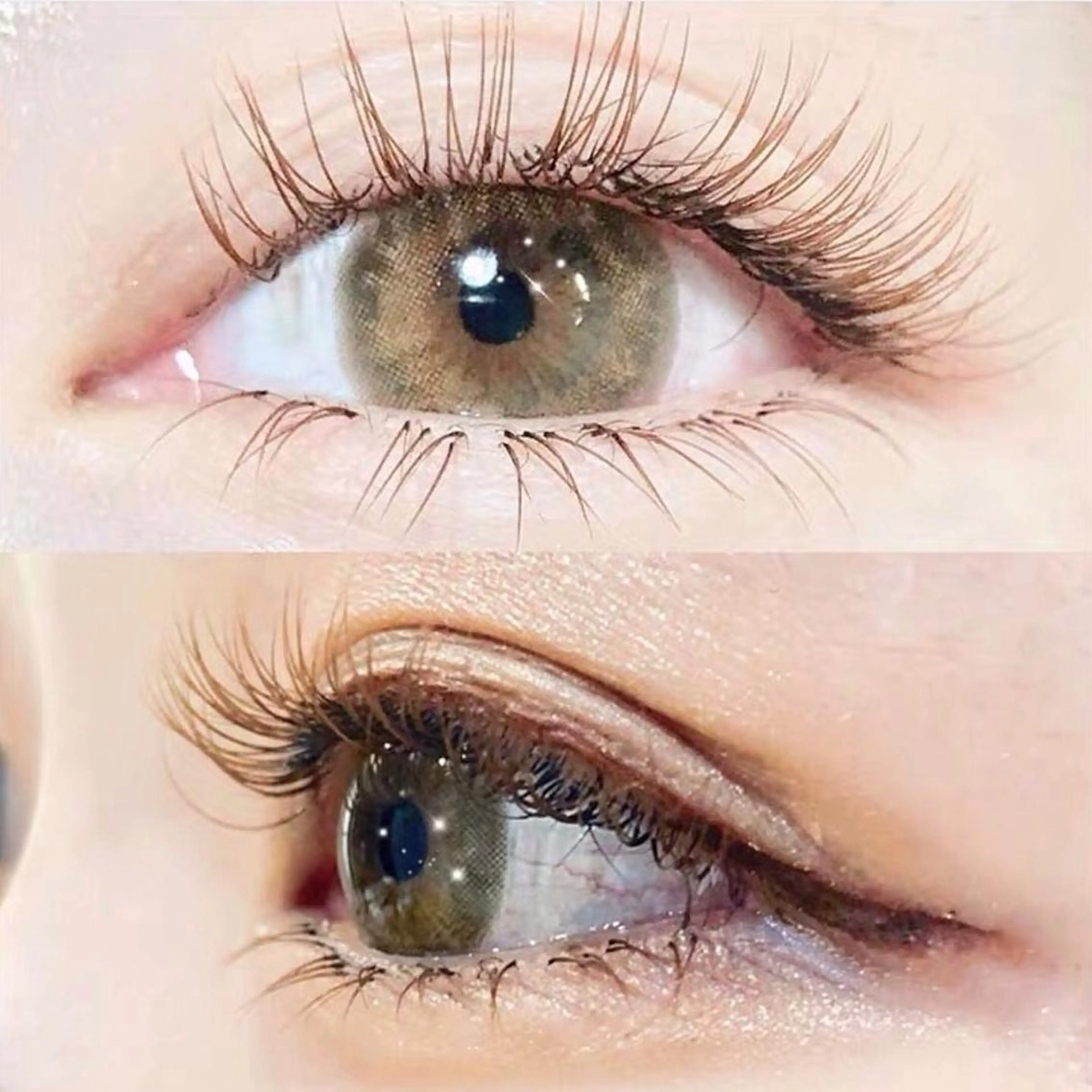 【新規】フラットラッシュ　ブラウン🏾120本  （両目)　　長さ10mm、11mm、12mmの写真