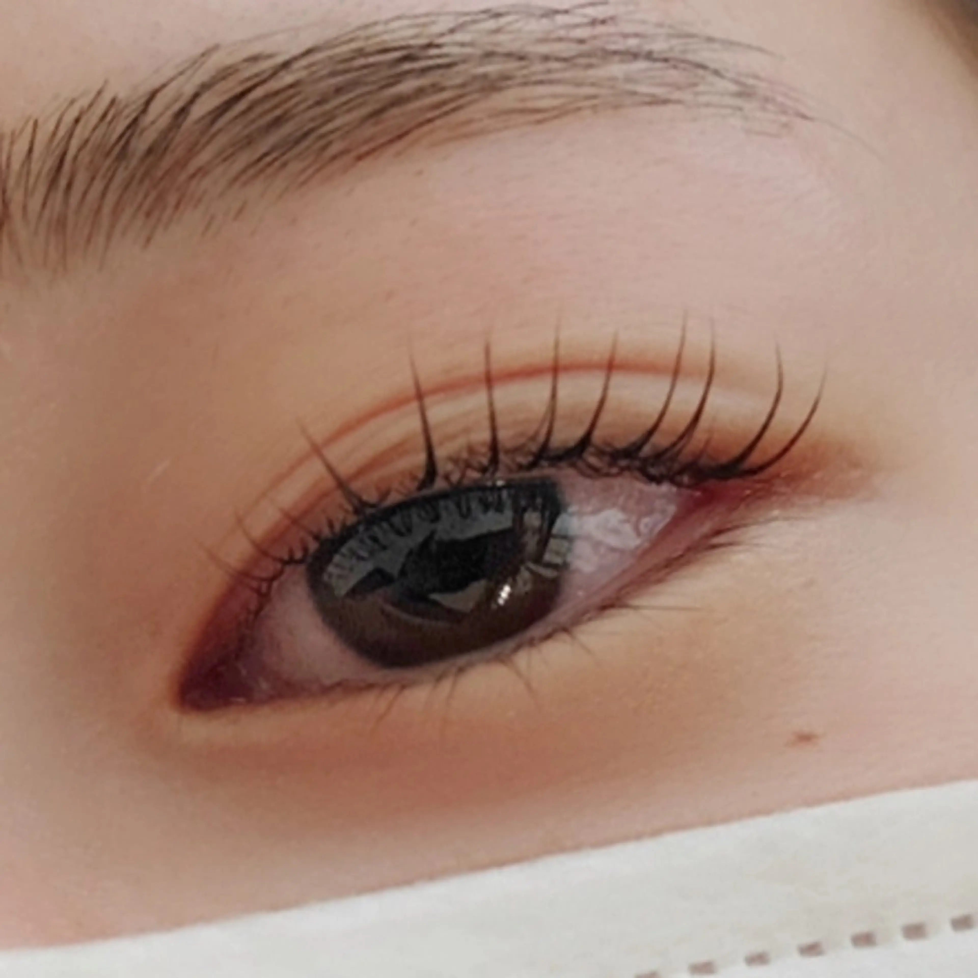 ご新規様🌼マツパ&耳つぼジュエリー💎お試し(両耳4粒)🩷の写真