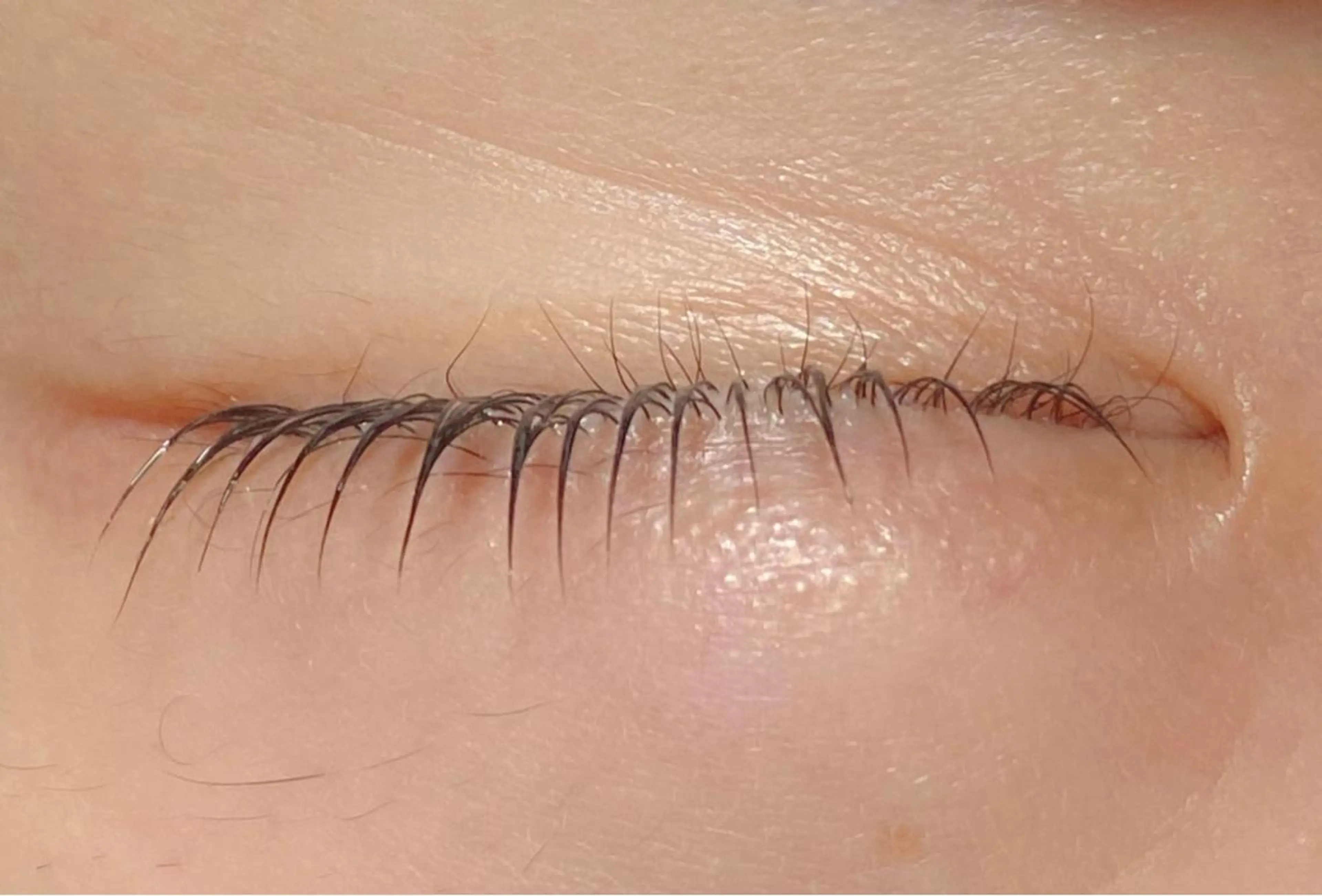 マツエク・マツパ Ciglio＋ naoのマツエク・マツパデザイン