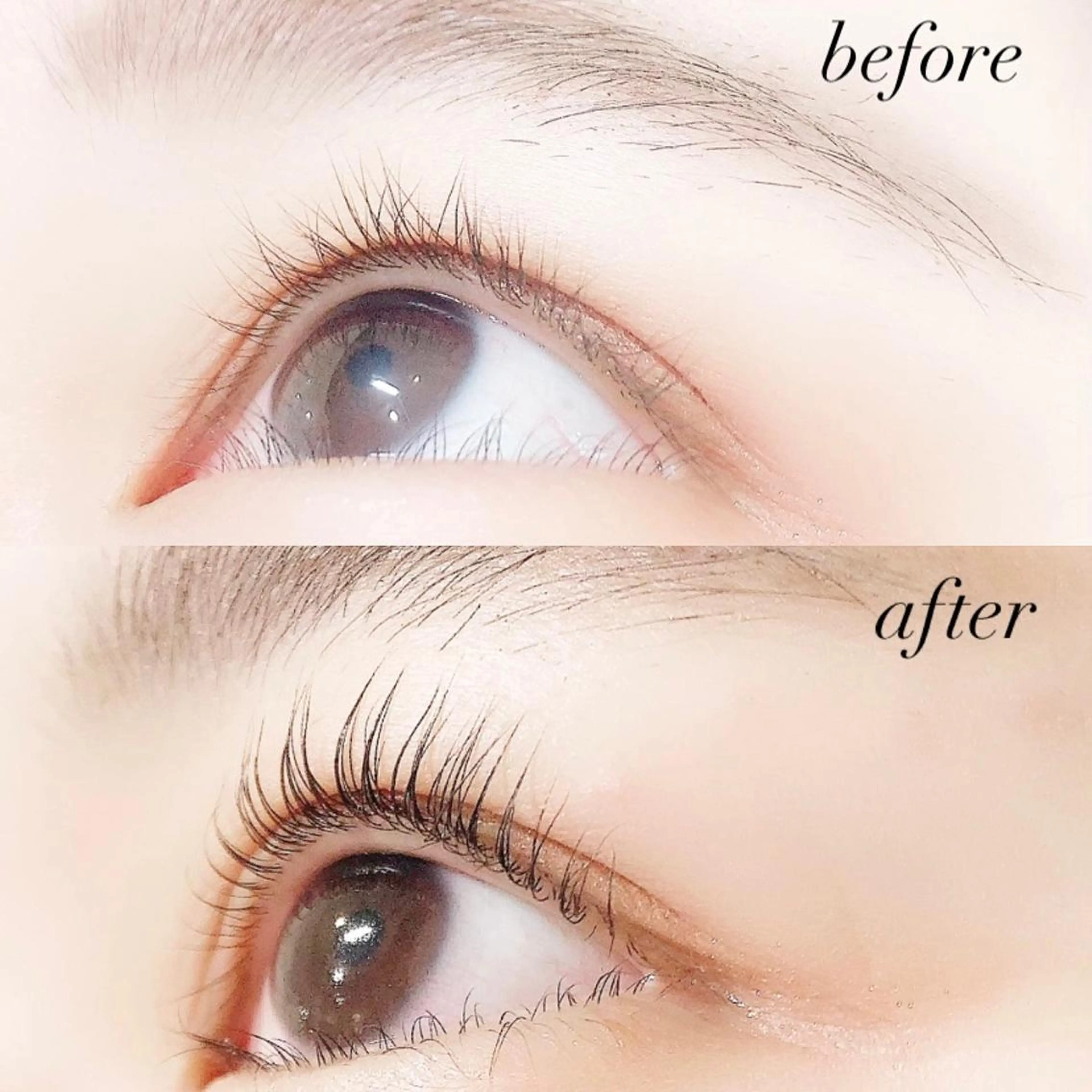 マツエク・マツパ まつげパーマ 【Lanhr】 🕊aya🕊のマツエク・マツパデザイン