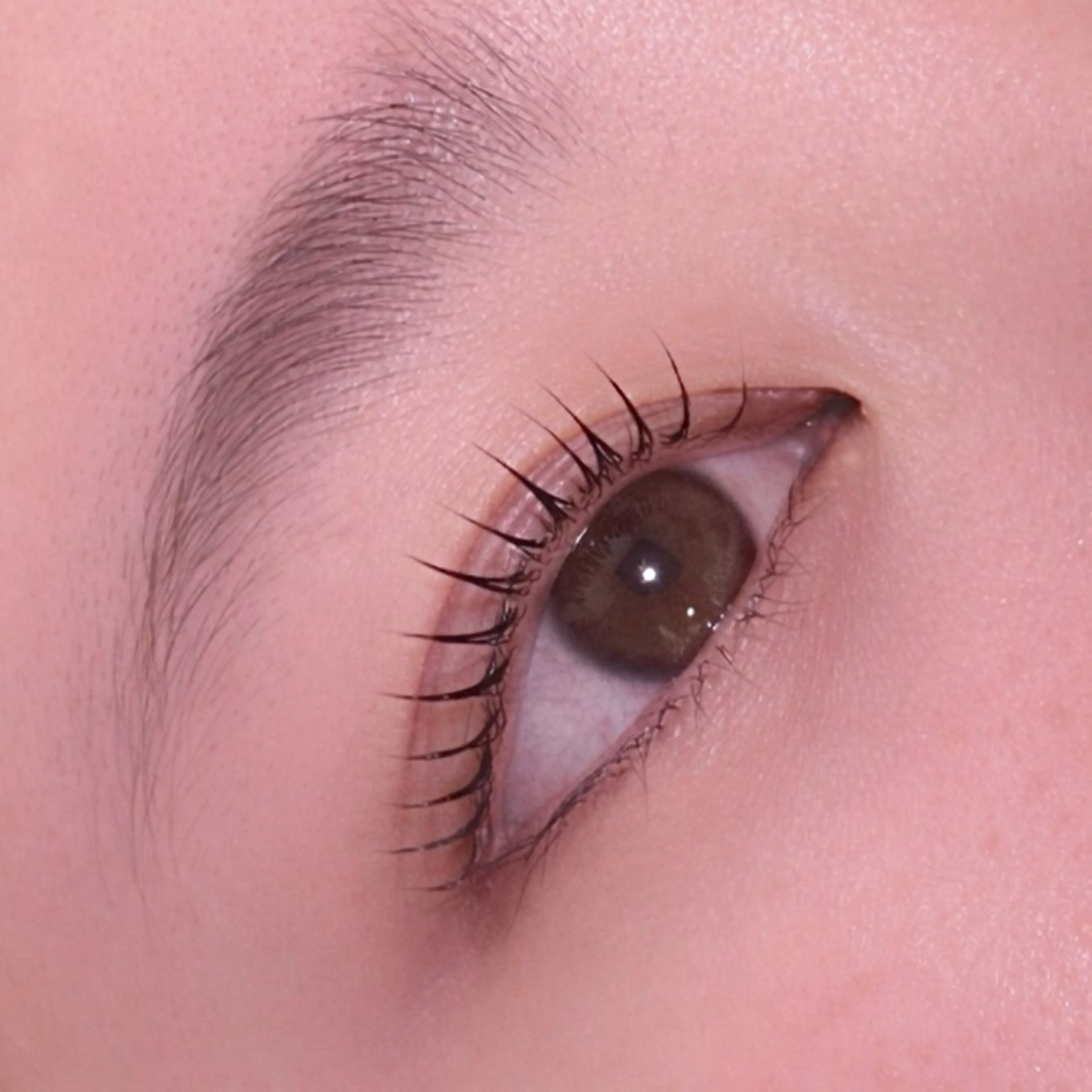 マツエク・マツパ pono ユイ🩵´-の眉毛・アイブロウイメージ