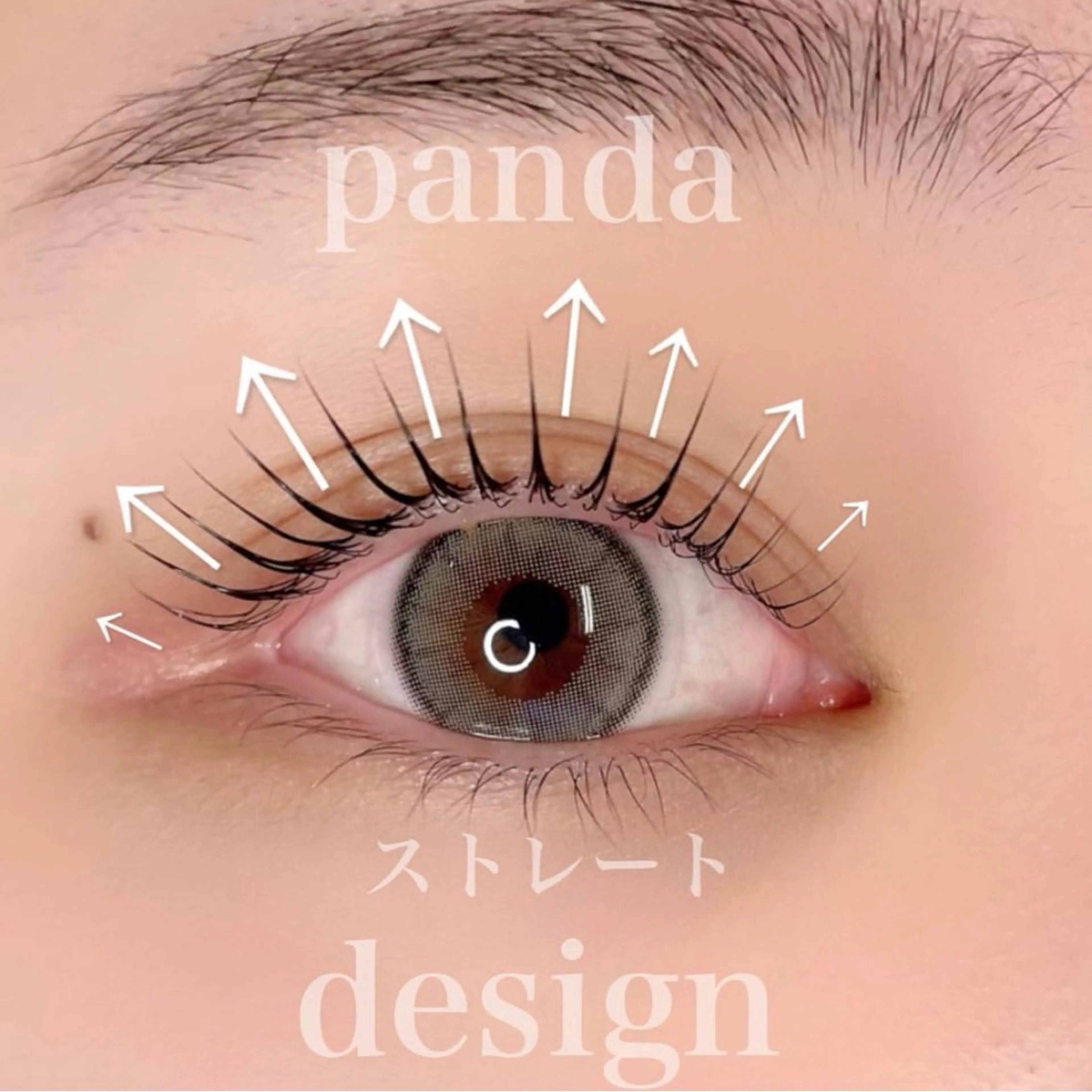 マツエク・マツパ r’oo plus 向日葵のマツエク・マツパデザイン