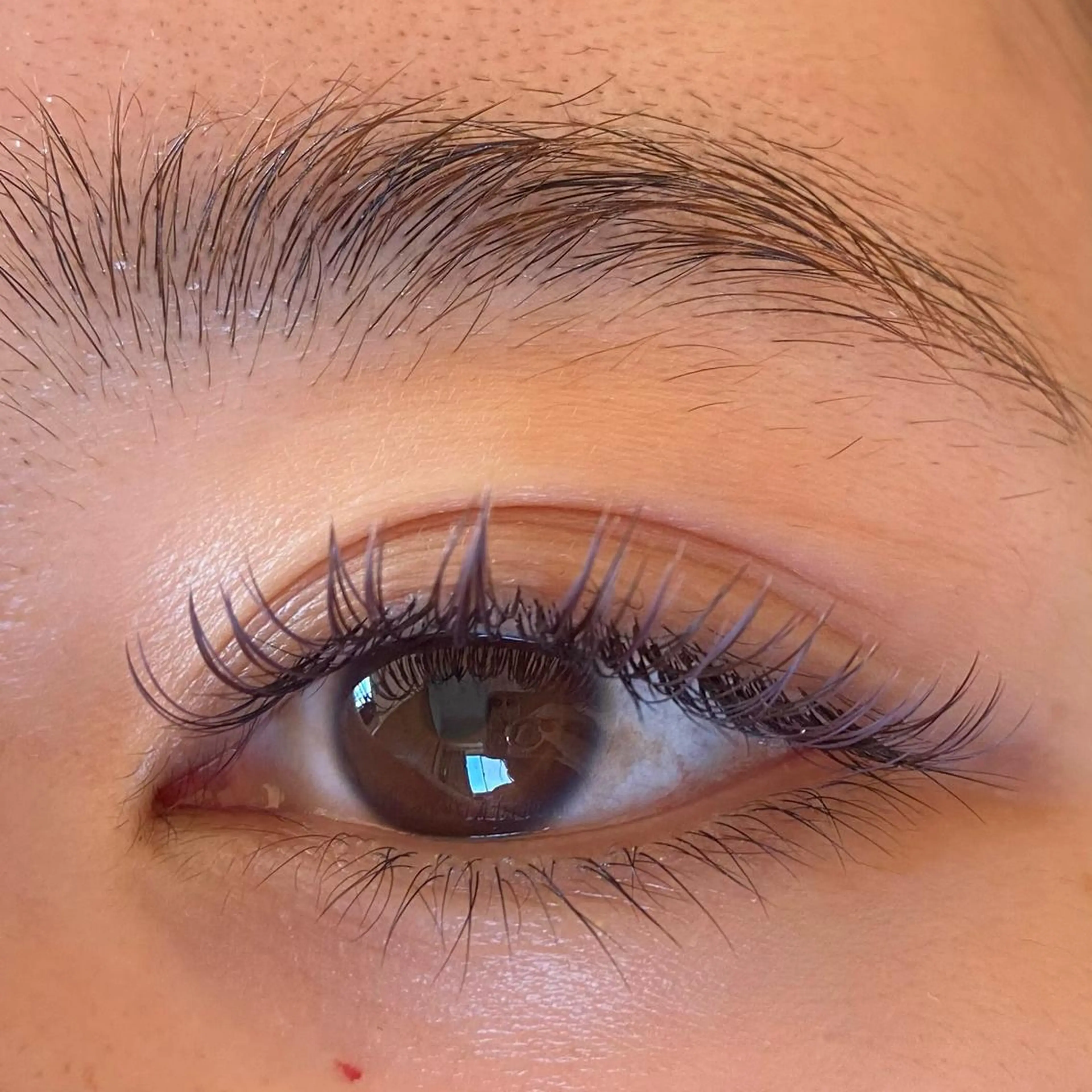 カラーエクステorフラットラッシュ60分つけ放題の写真