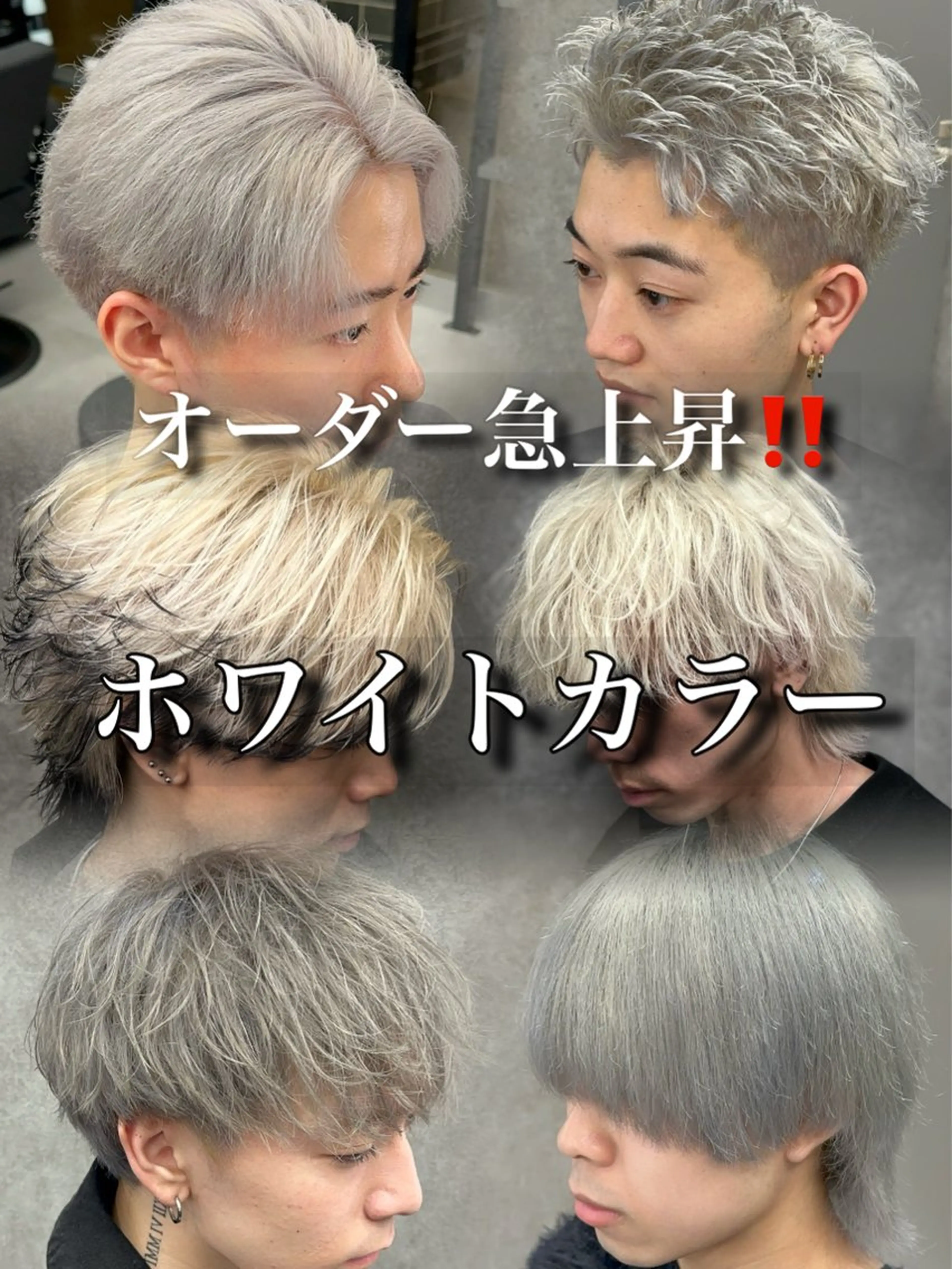 カラー メンズ シルバー カット ヘアカラー 札幌美容室 /光👑のヘアスタイル