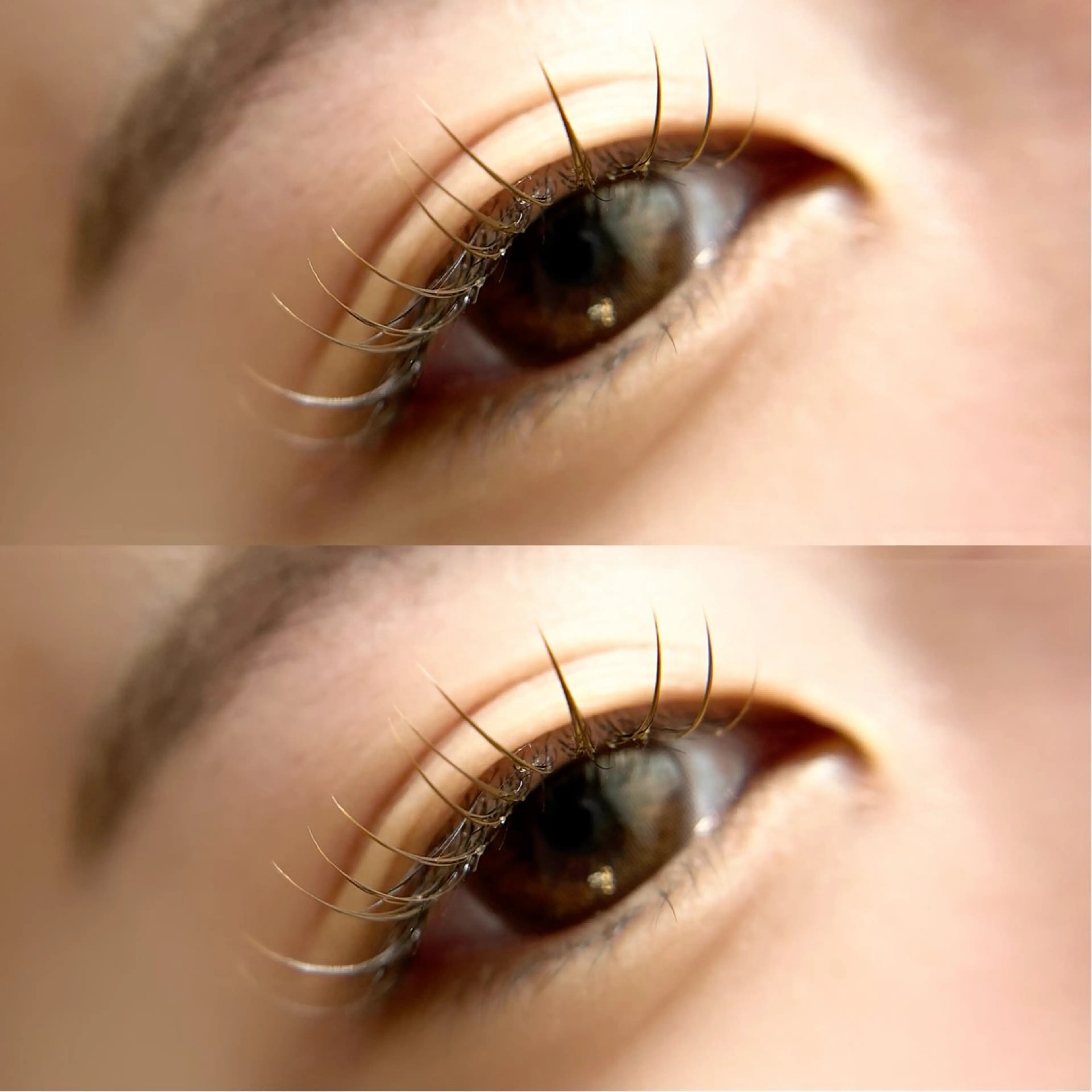 マツエク・マツパ peTiT京橋店🌷 yuiのマツエク・マツパデザイン