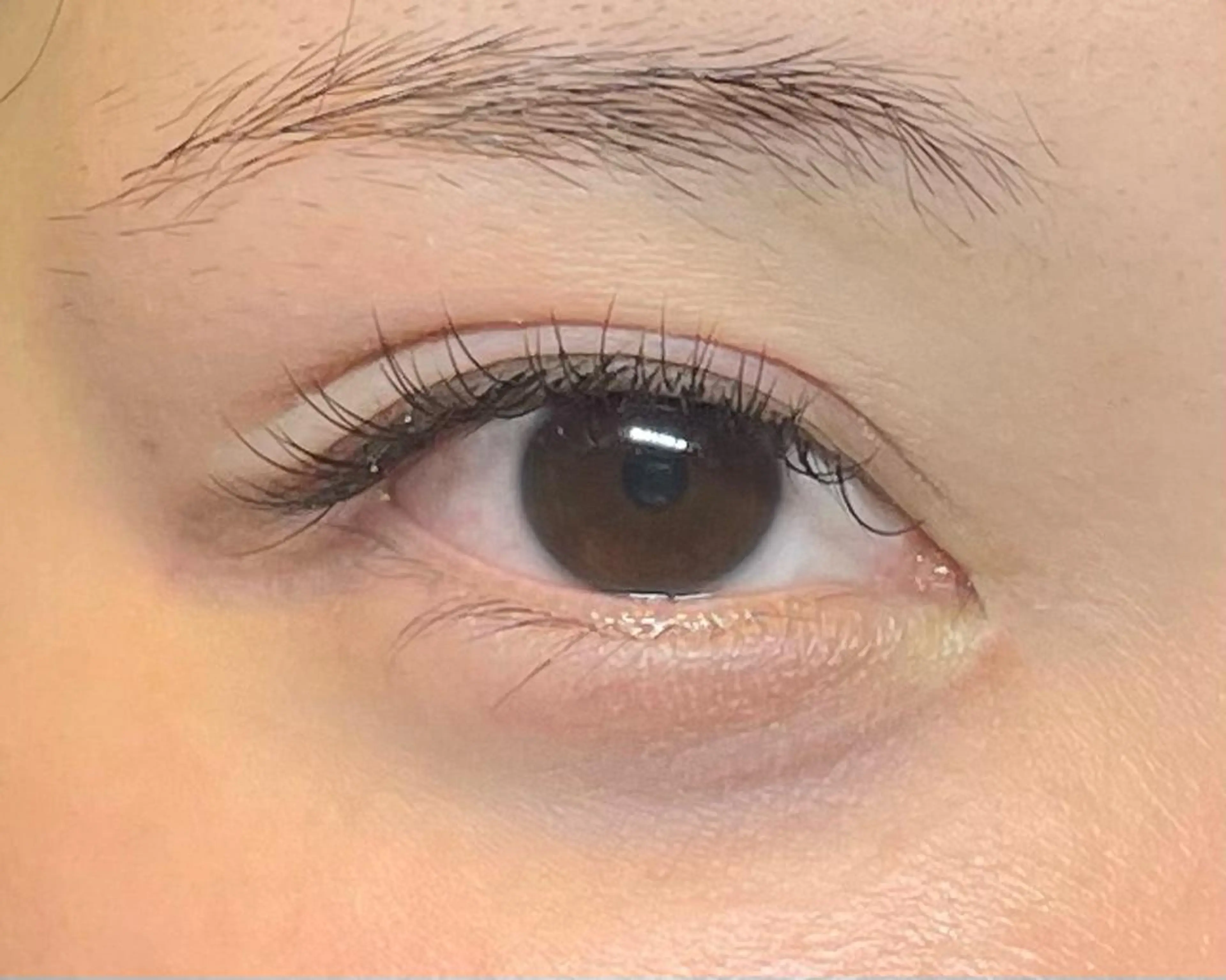 マツエク・マツパ Cカール ナチュラル scarlet ayamiのマツエク・マツパデザイン