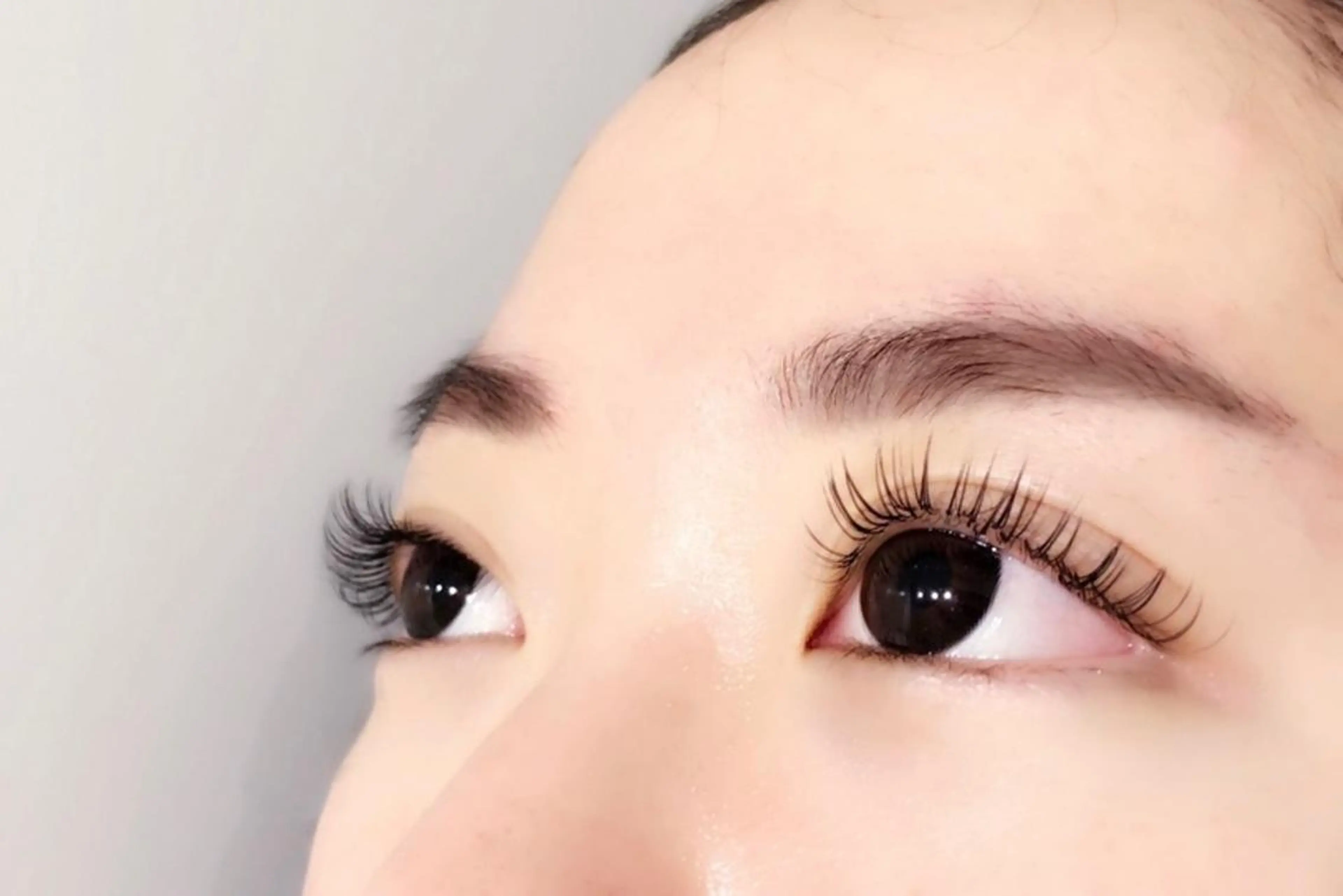 マツエク・マツパ マツエク マ ミの眉毛・アイブロウイメージ