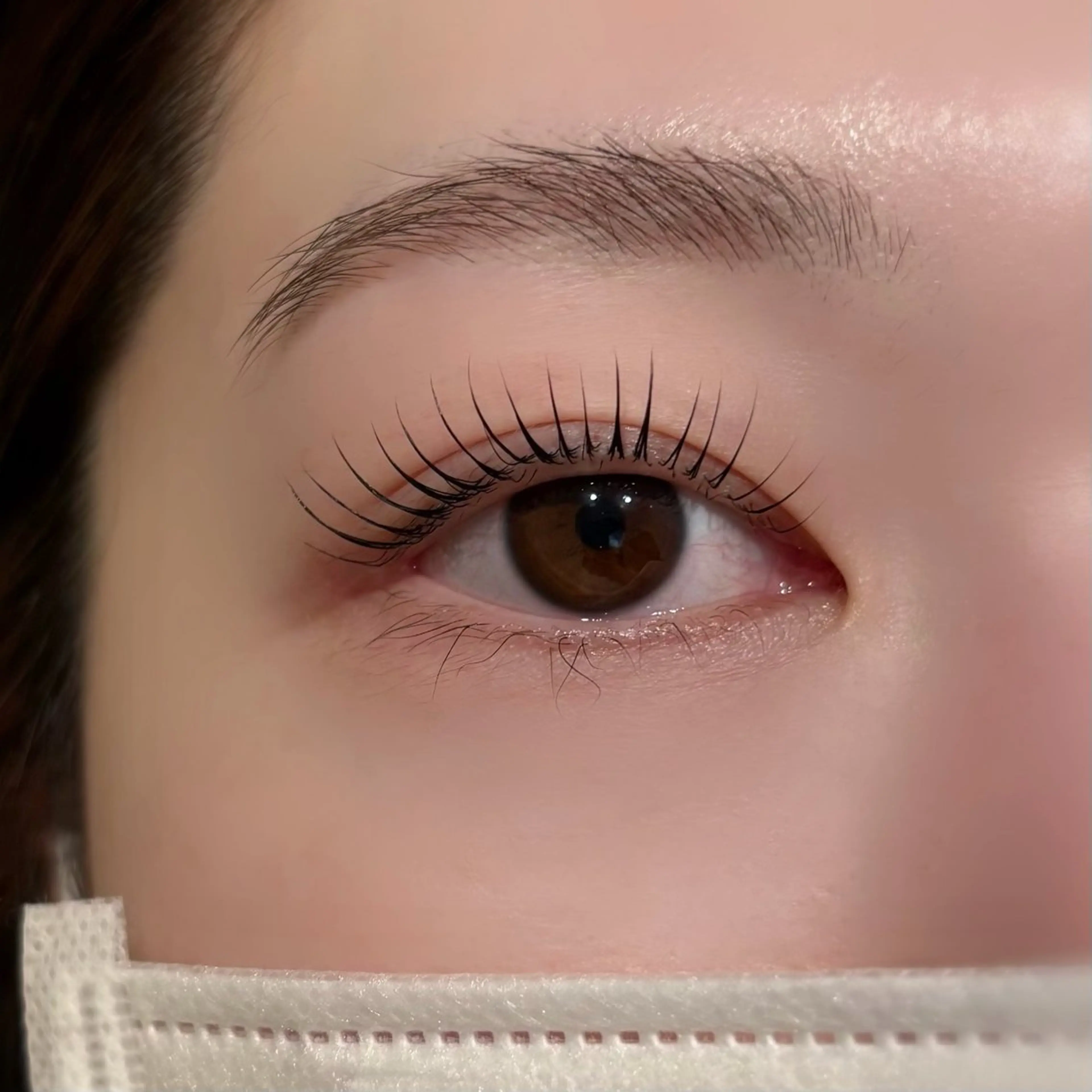 練習モデル まつ毛パーマ★※エクステオフ不可の写真