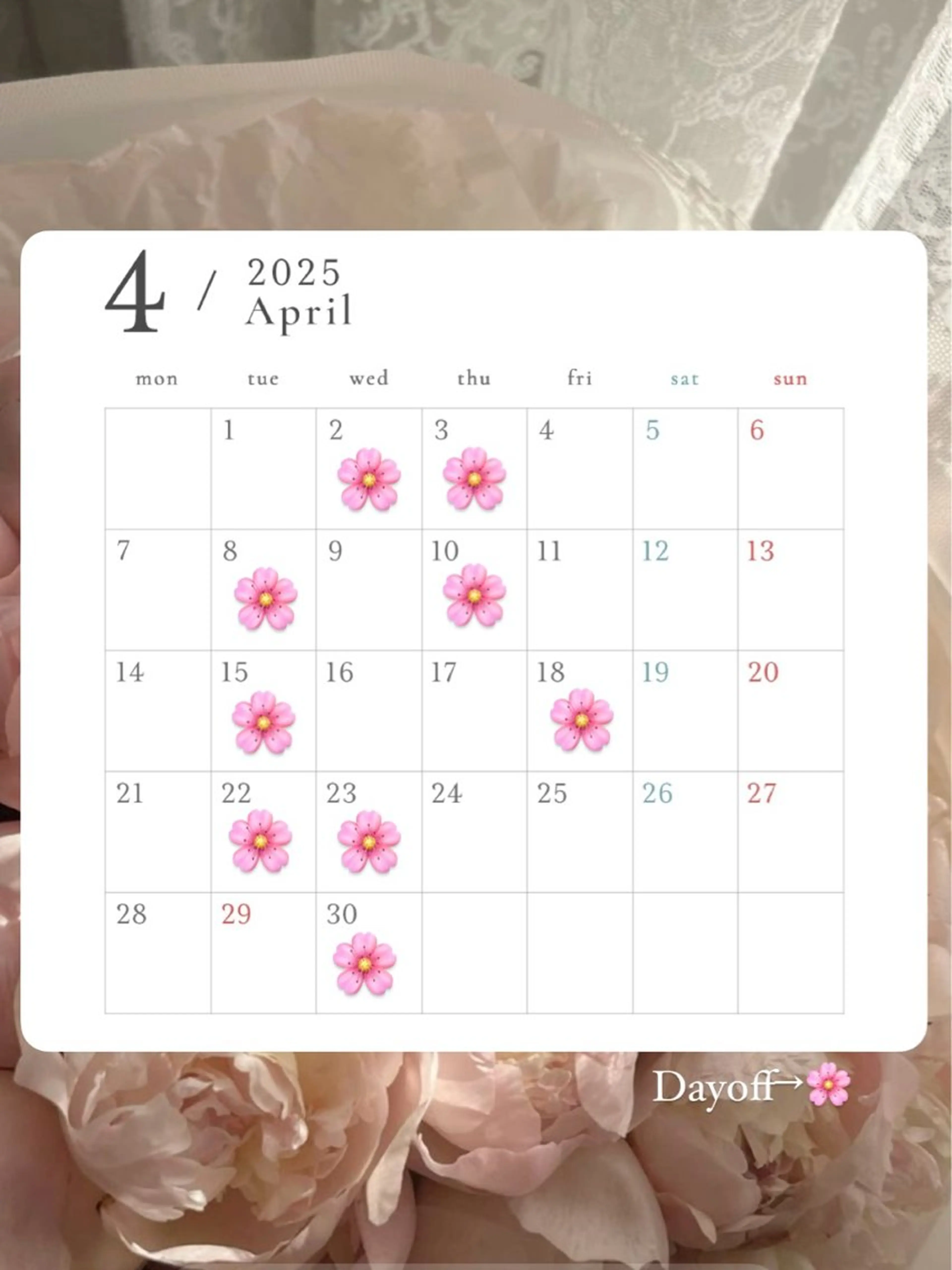 NORAmanaka /渋谷⟡.·*.のネイルデザイン