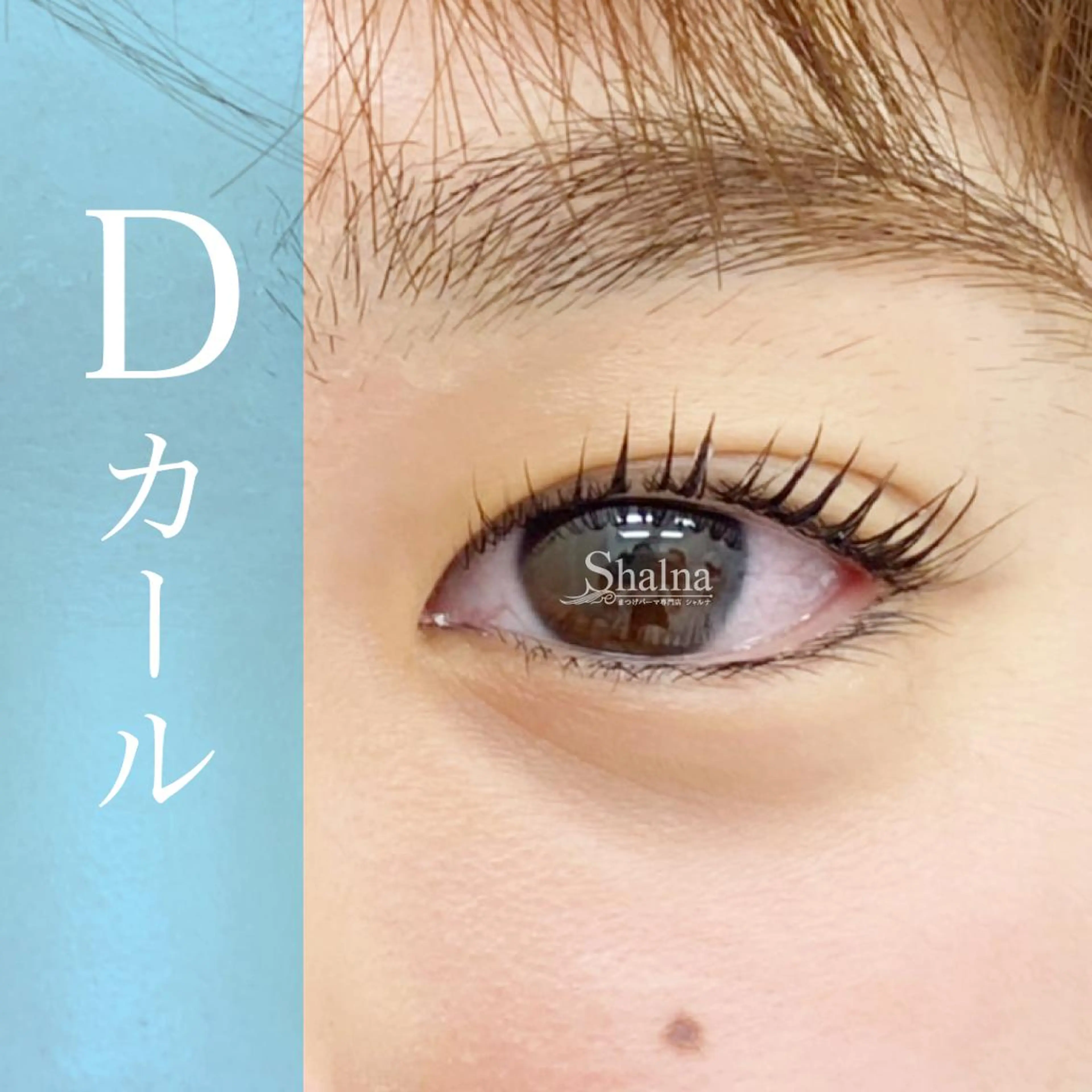 マツエク・マツパ Dカール まつげパーマ まつげパーマ専門店 シャルナ　新宿店のマツエク・マツパデザイン