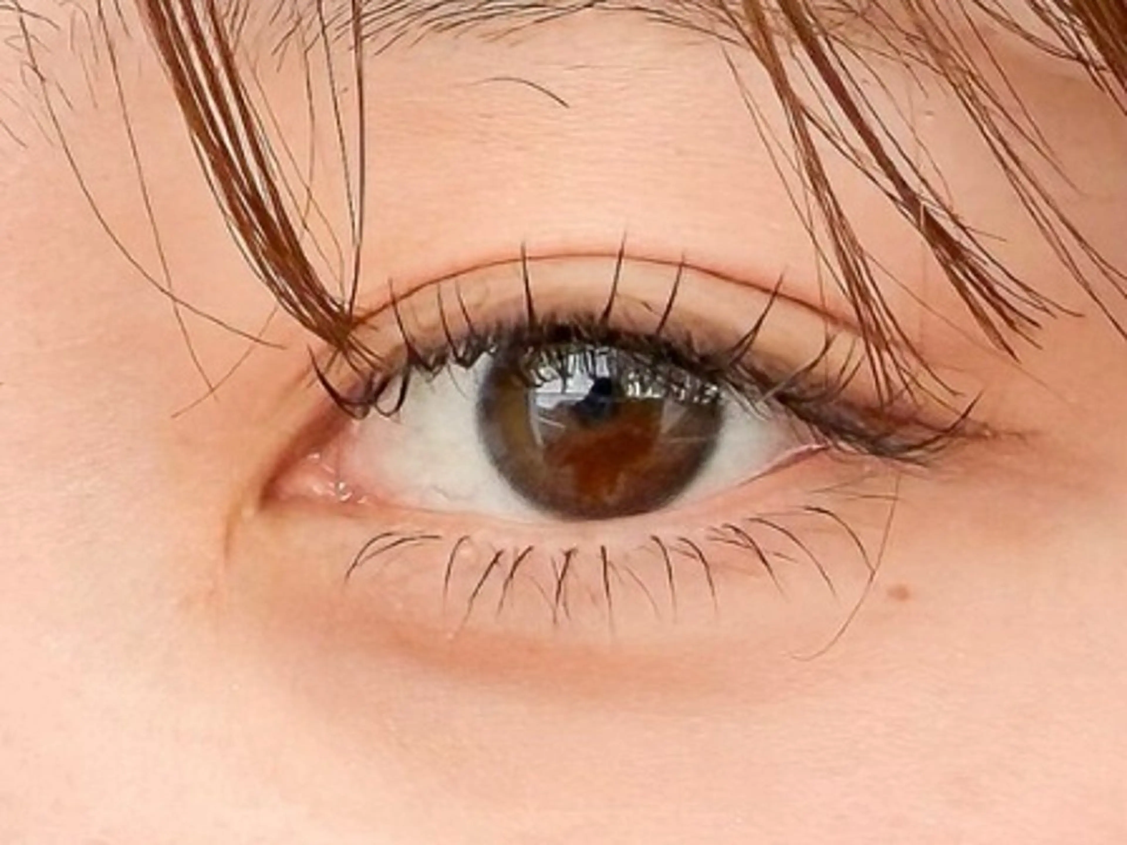 マツエク・マツパ 【ANEMONA】 NIHOの眉毛・アイブロウイメージ