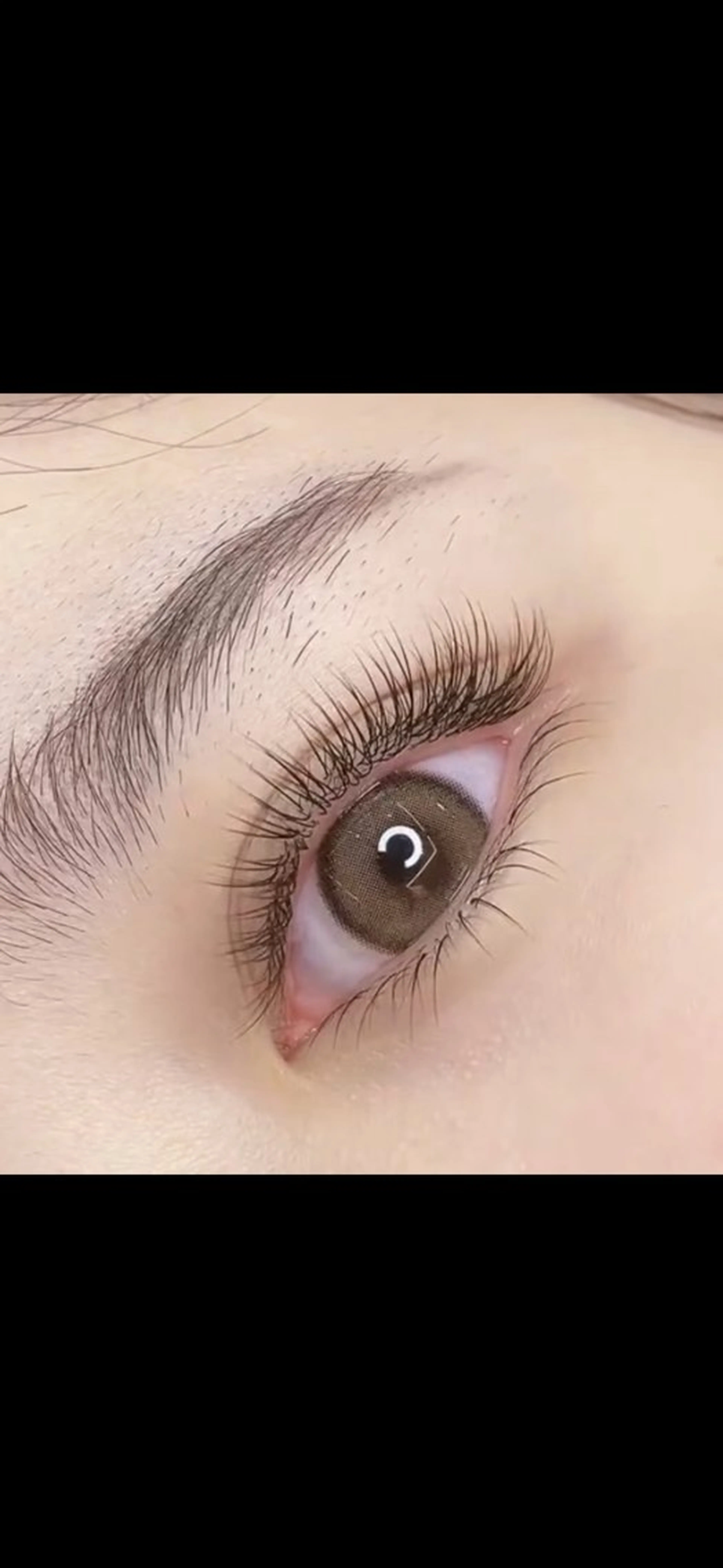 (マツエク)フラットラッシュ上120本下20本L E D無料コーティング付きの写真