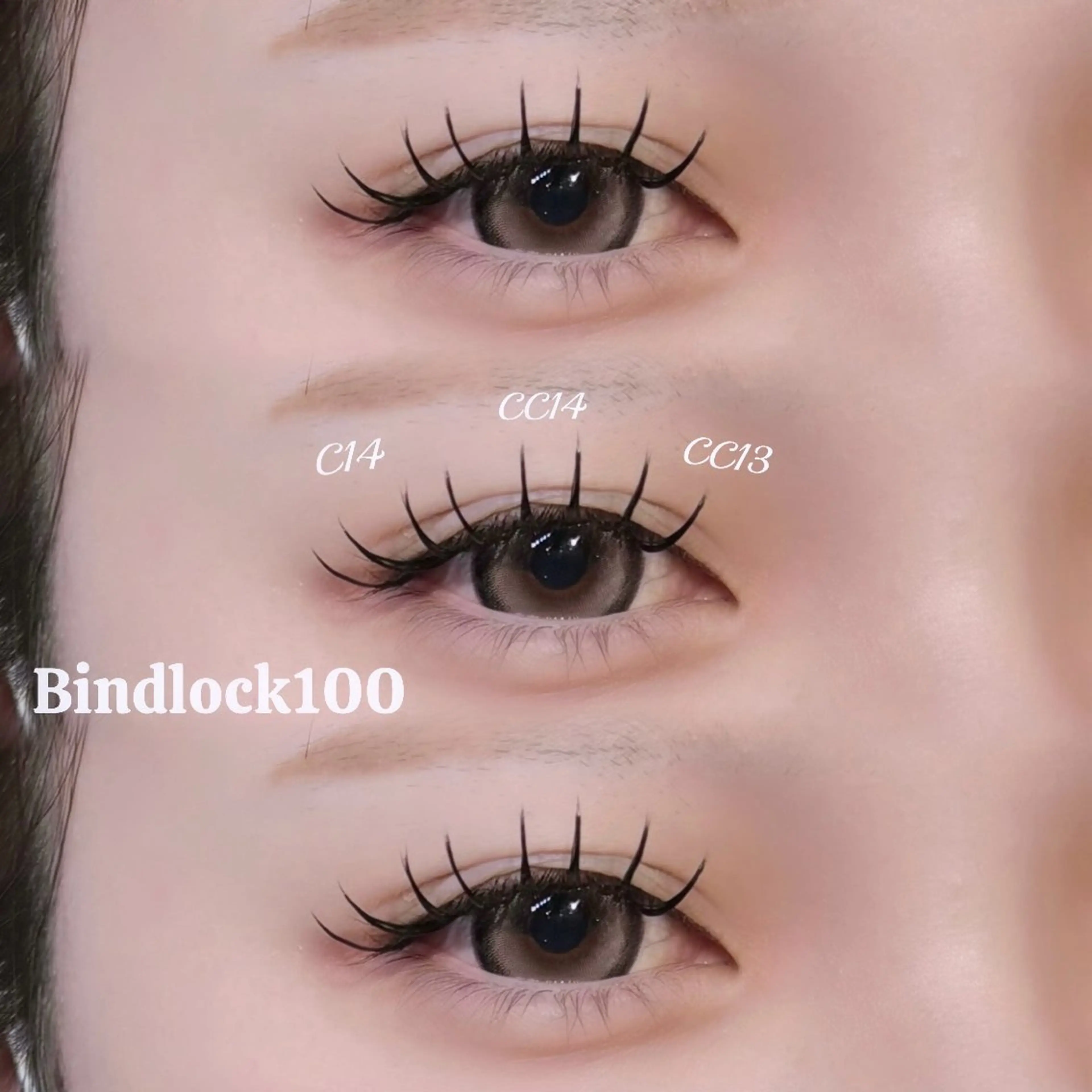 バインドロック100束の写真