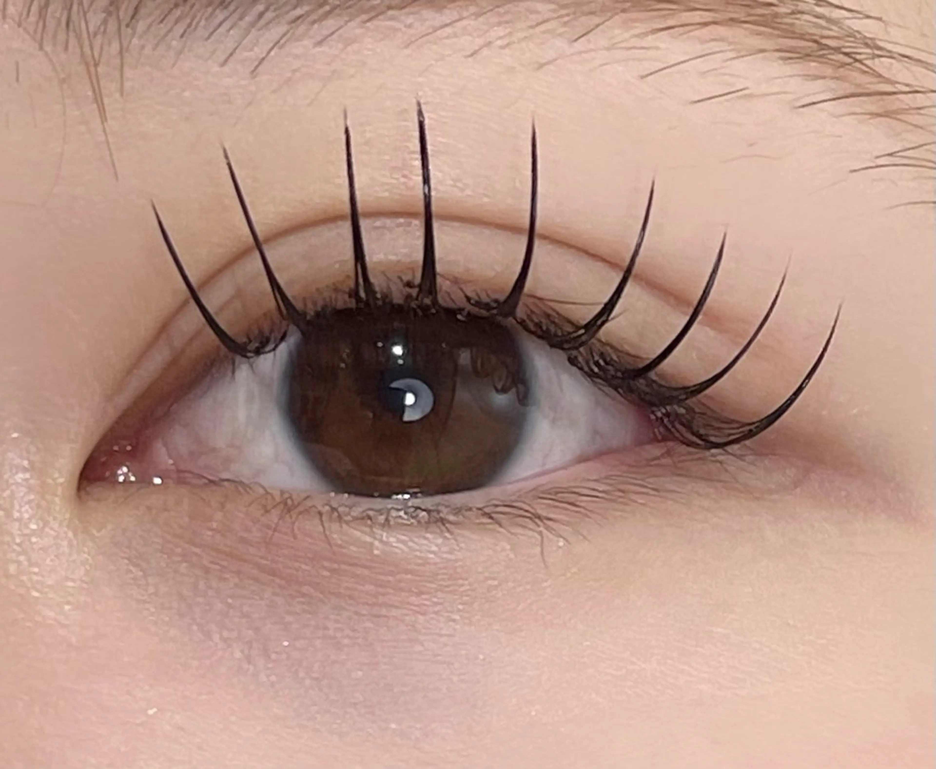 LEDエクステ下まつ毛60本💗12時15分💗限定の写真