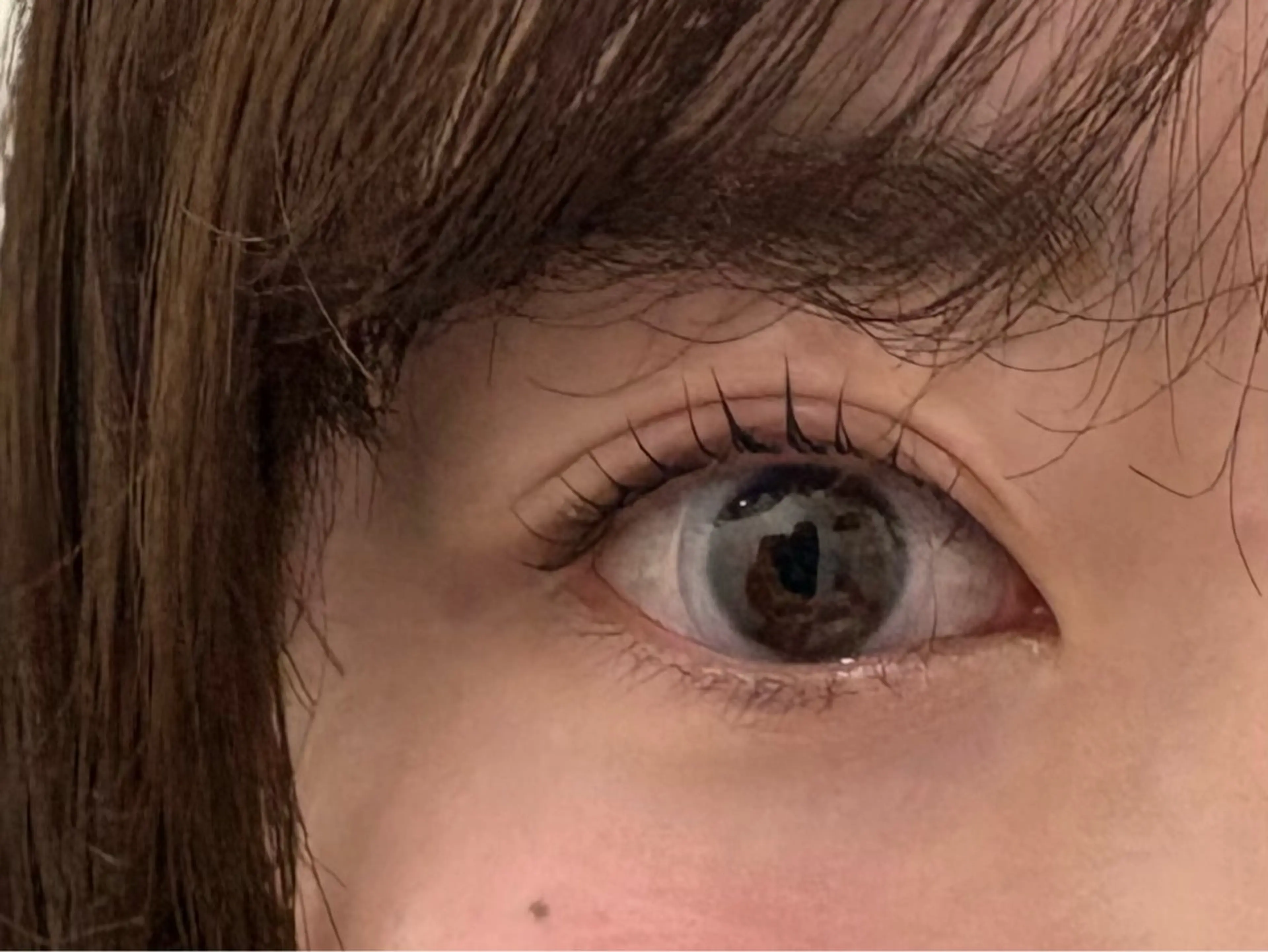 マツエク・マツパ 🎀モデル募集中/ ミウ🦊のマツエク・マツパデザイン