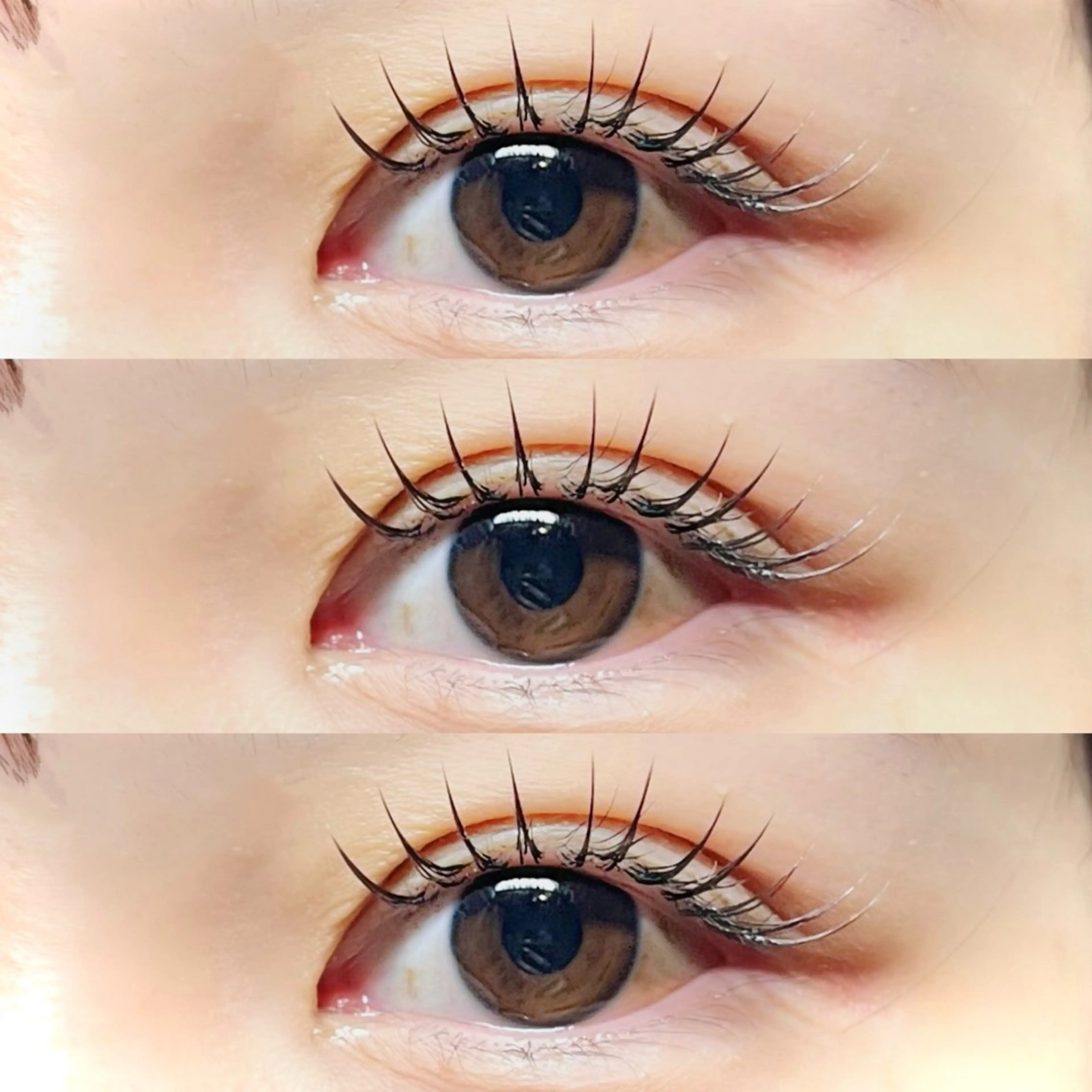 ⌇﻿☑️高級フラットラッシュ120本❤️‍🔥⌇﻿シングルエクステ🤍仕上げコーティング付✨️の写真