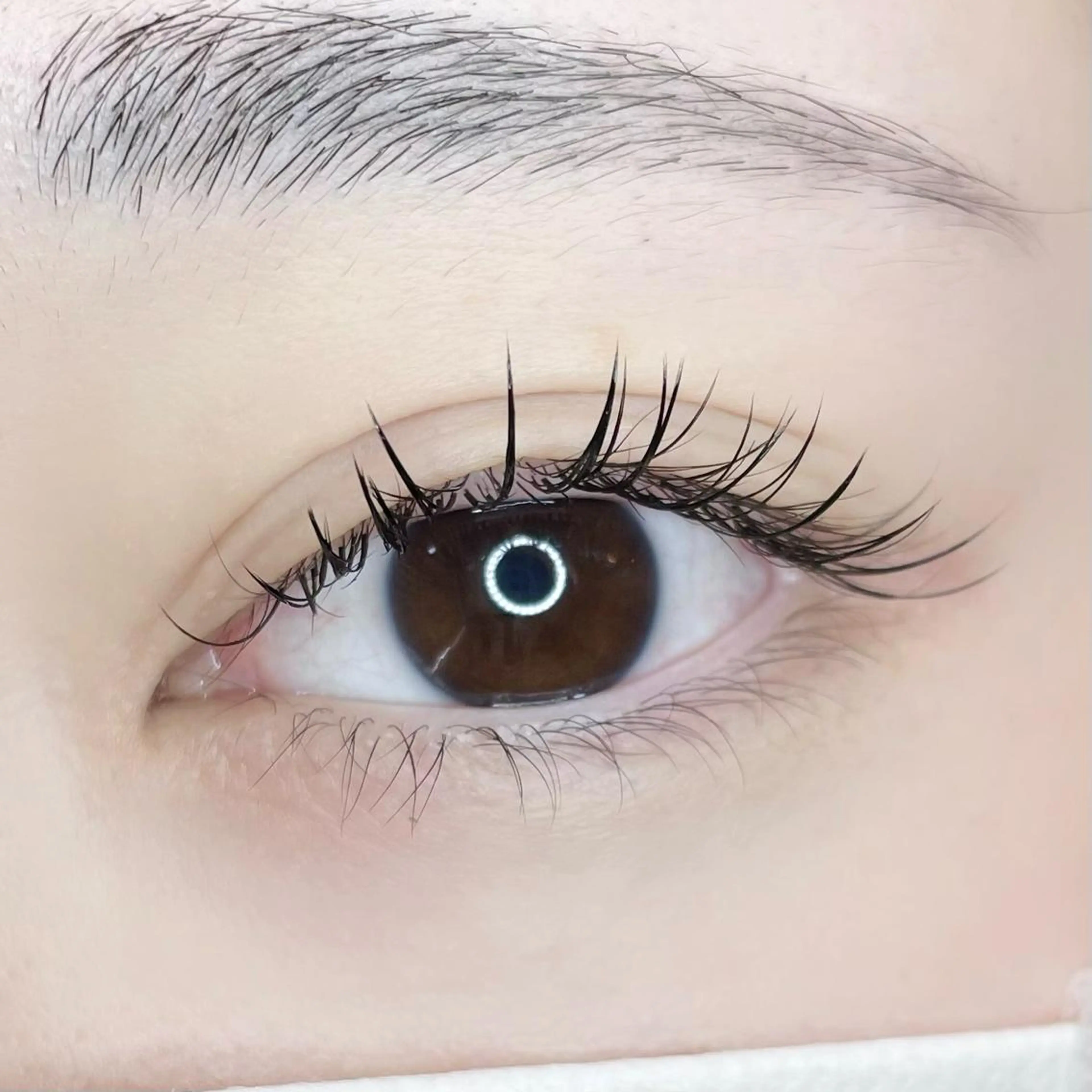 マツエク・マツパ フラットラッシュ マツエク 河口 優奈のマツエク・マツパデザイン