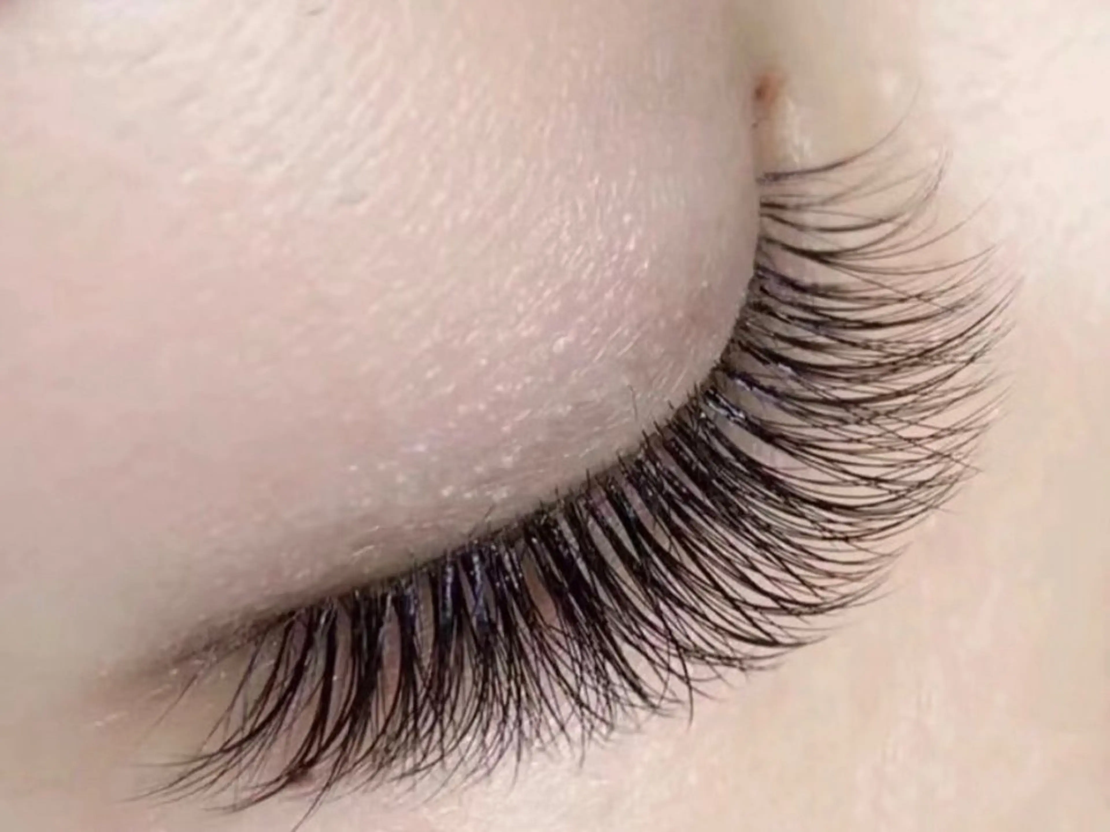 🧚限定クーポン新規価格ボリュームラッシュ80束(240本)ボリュームのあるバッチリ目元に【リピーター価格6400】の写真