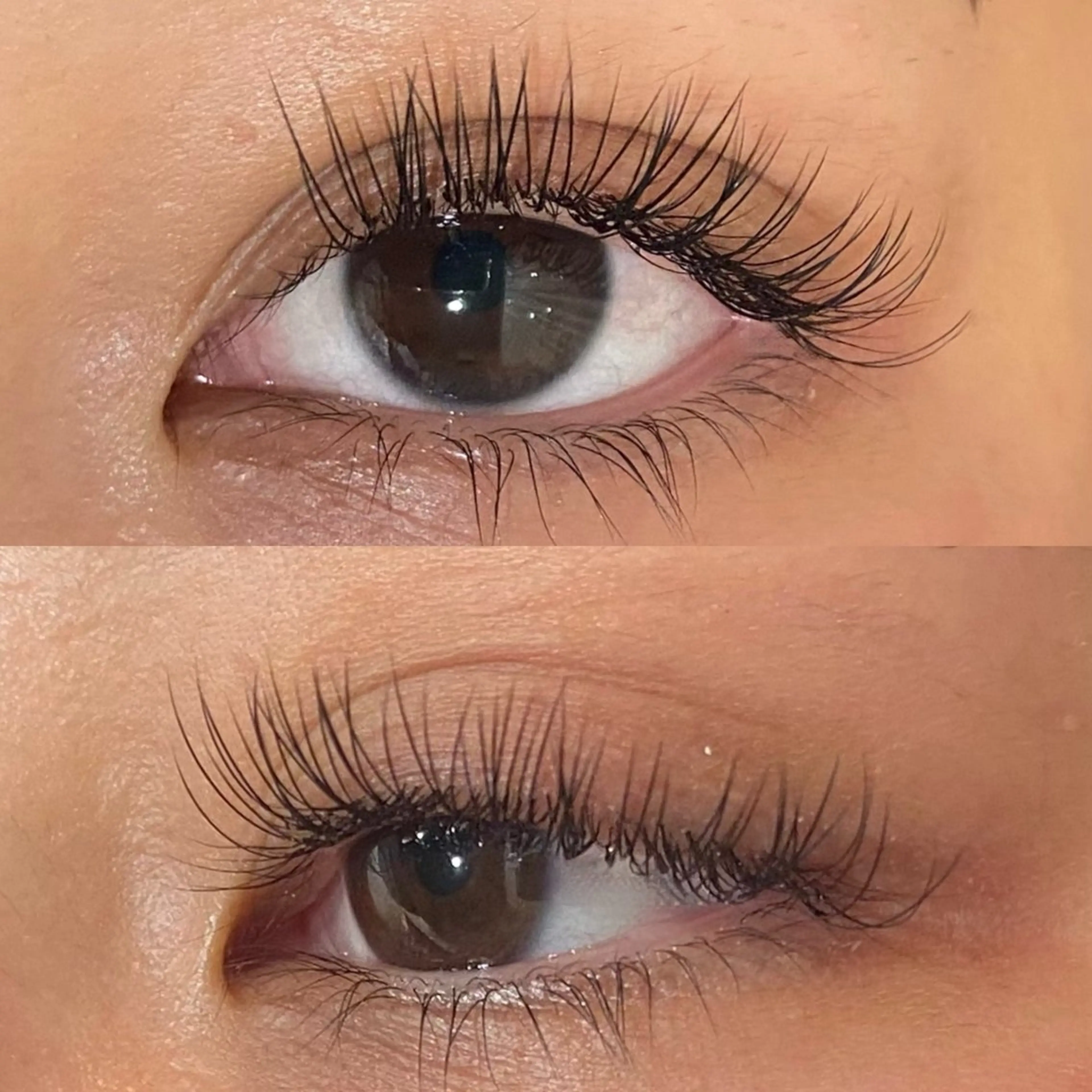 🌿オフありフラットラッシュ140本🌿の写真