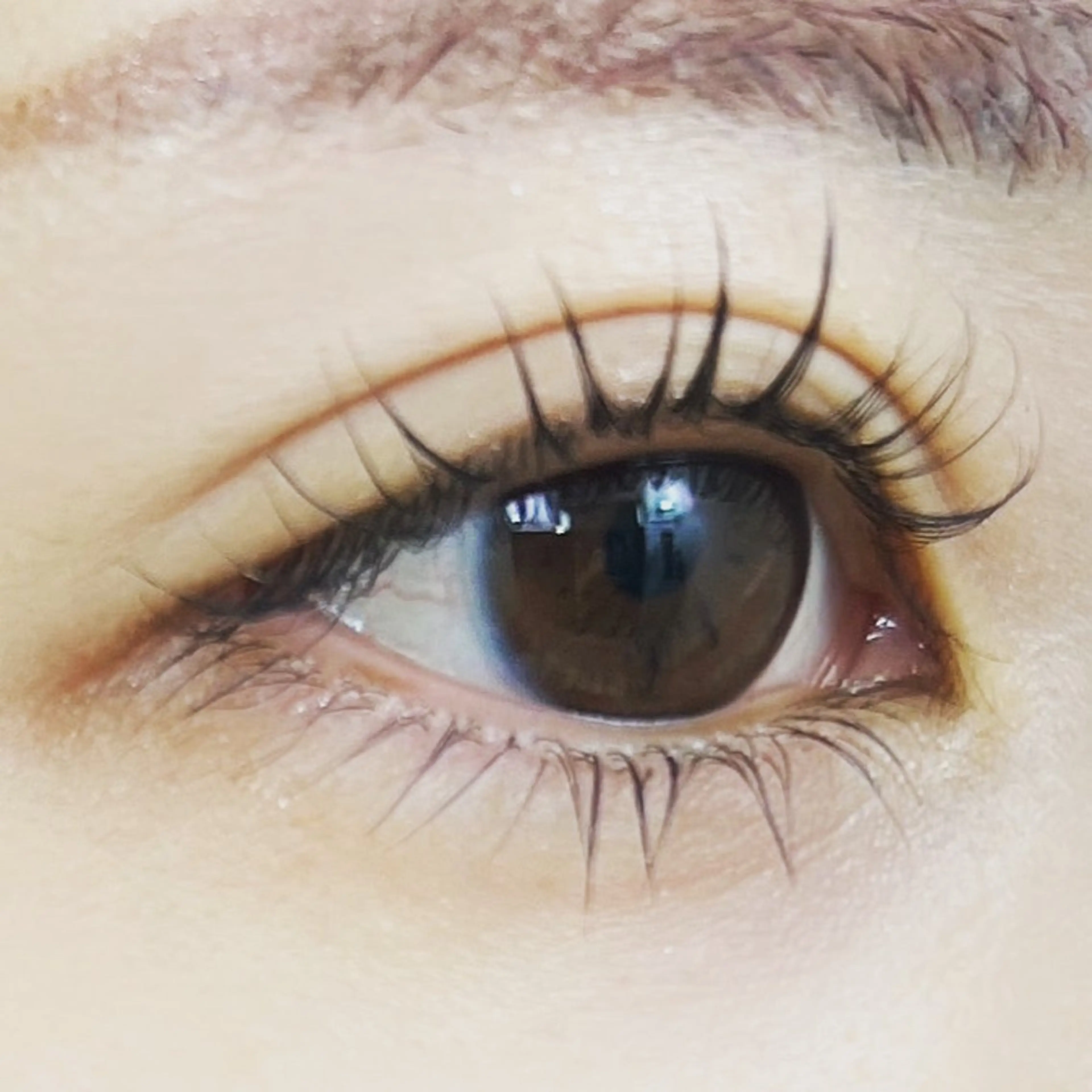 マツエク・マツパ himawari Leiのマツエク・マツパデザイン