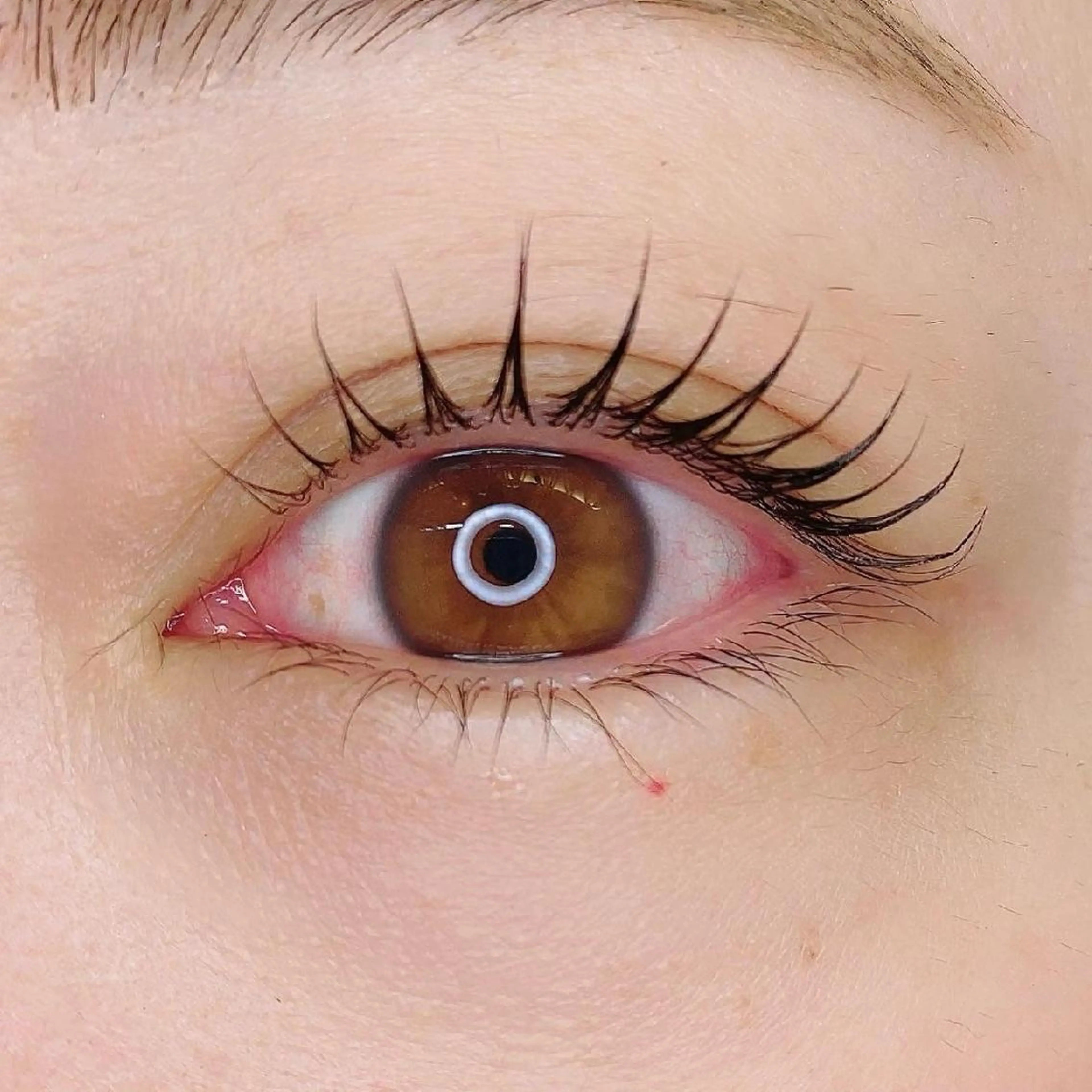 マツエク・マツパ ケラチンラッシュリフト mimi HARUKAのマツエク・マツパデザイン