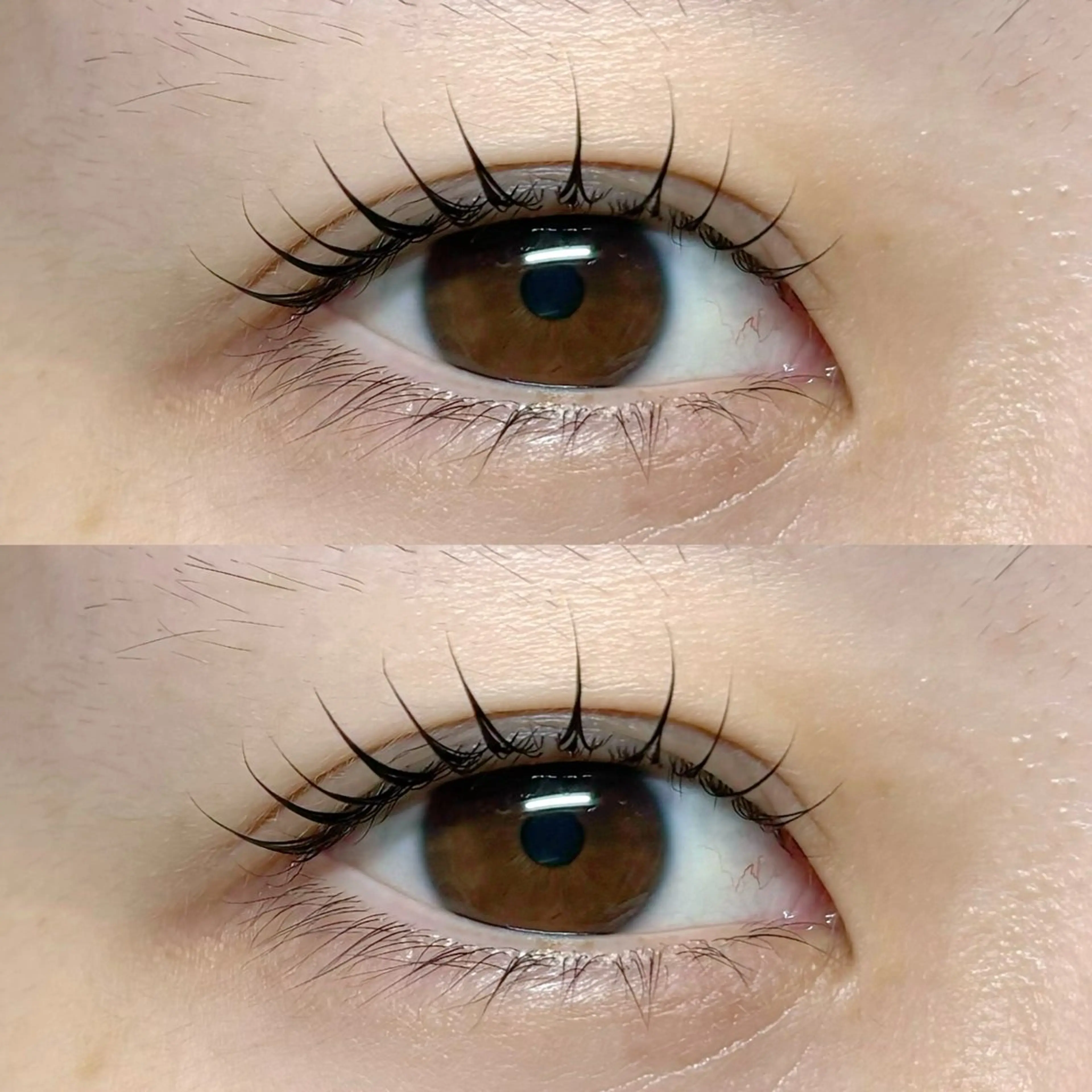 🌟口コミ投稿してくれる方限定🌟パリジェンヌorラッシュリフト コーティング付 再来¥4990の写真