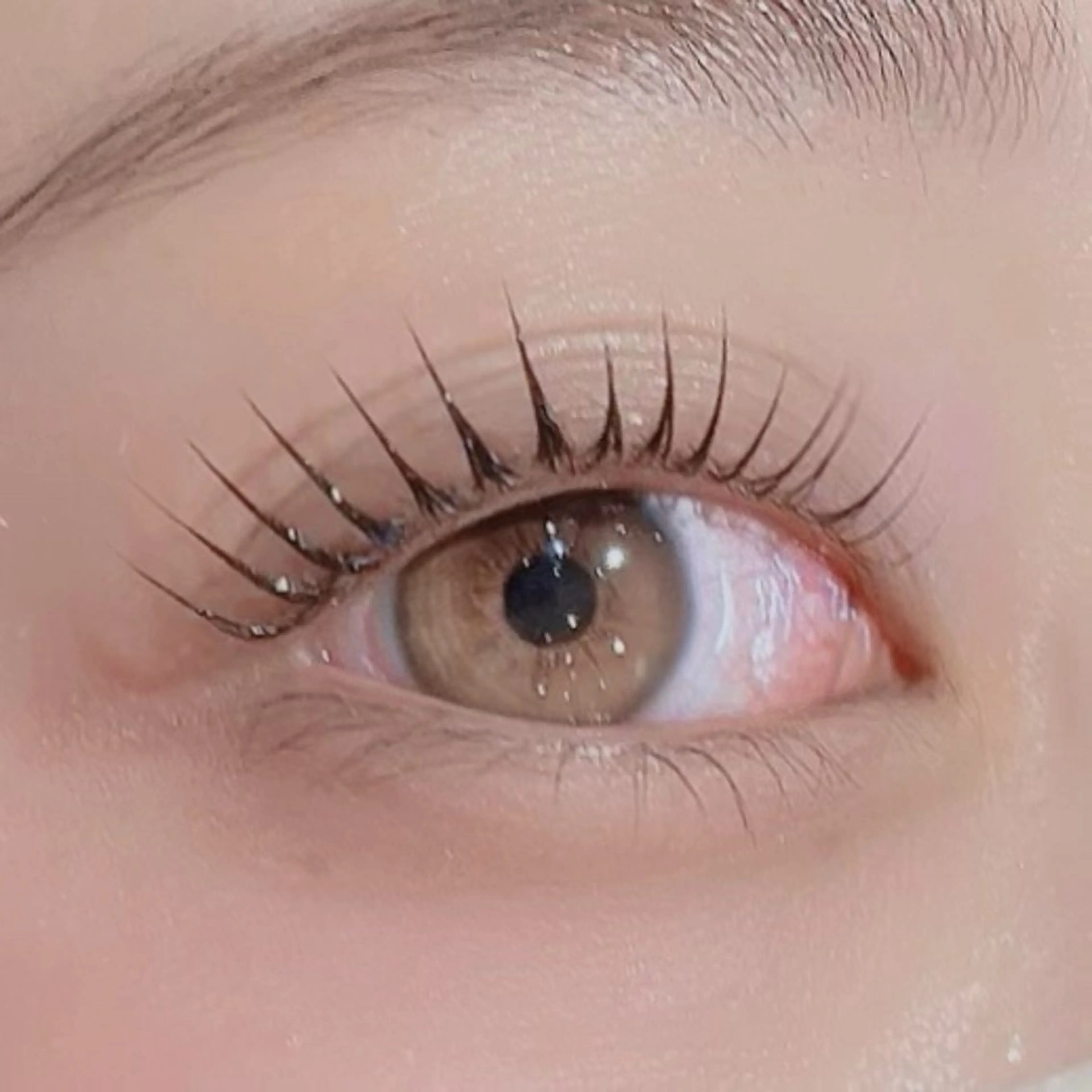 マツエク・マツパ マツパ Luxe白楽 店長 ↪︎ Seike🖤のマツエク・マツパデザイン