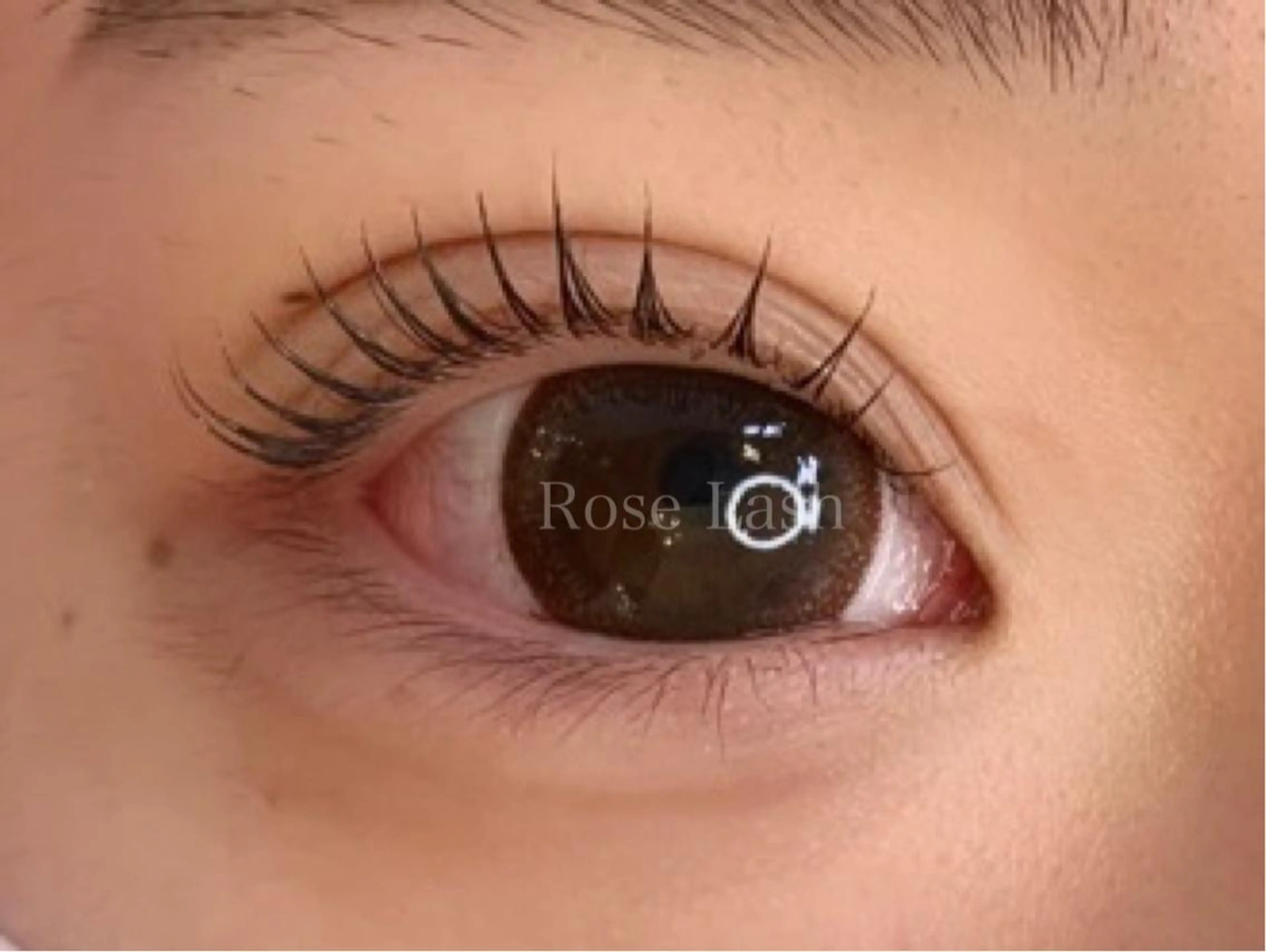 マツエク・マツパ パリジェンヌラッシュリフト まつげパーマ マツパ パリジェンヌ/まつパ RoseLashのネイルデザイン