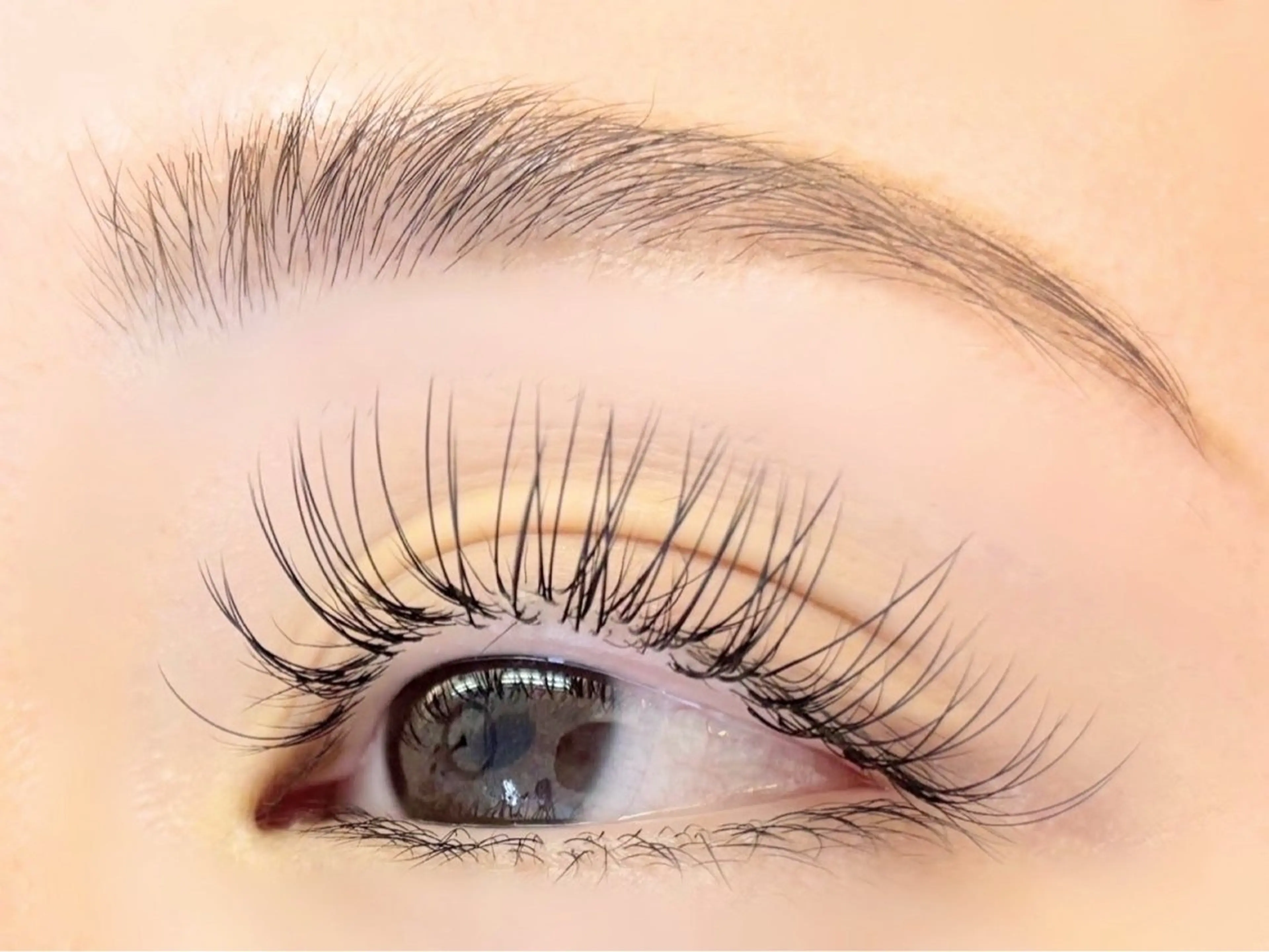 アイブロウ ワックス脱毛 Premo(プレモ) ／🌿kana🌿のマツエク・マツパデザイン