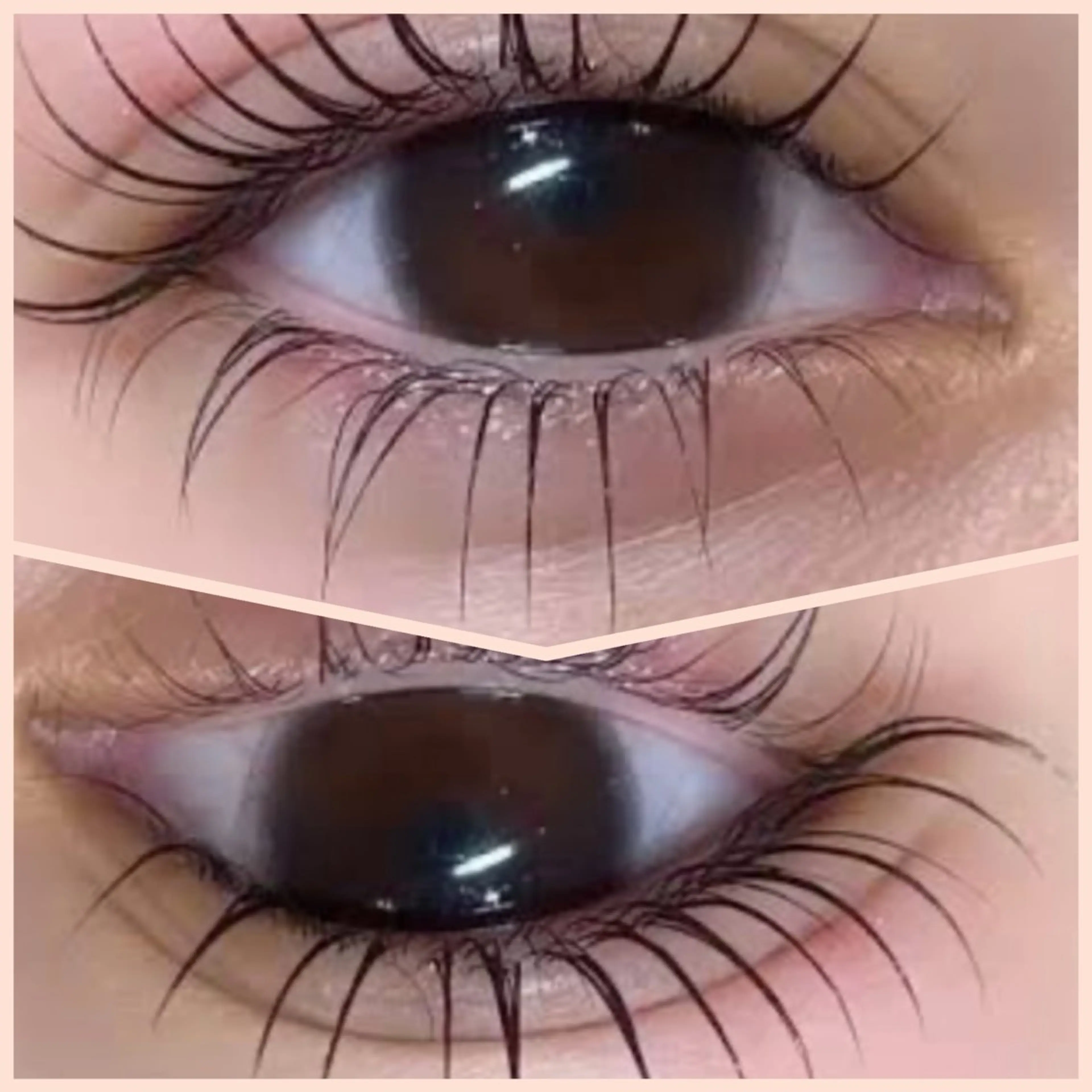 次世代まつ毛パーマ上下(ラッシュリフト)/まつ毛パーマ ※トリートメント、コーティング込。の写真