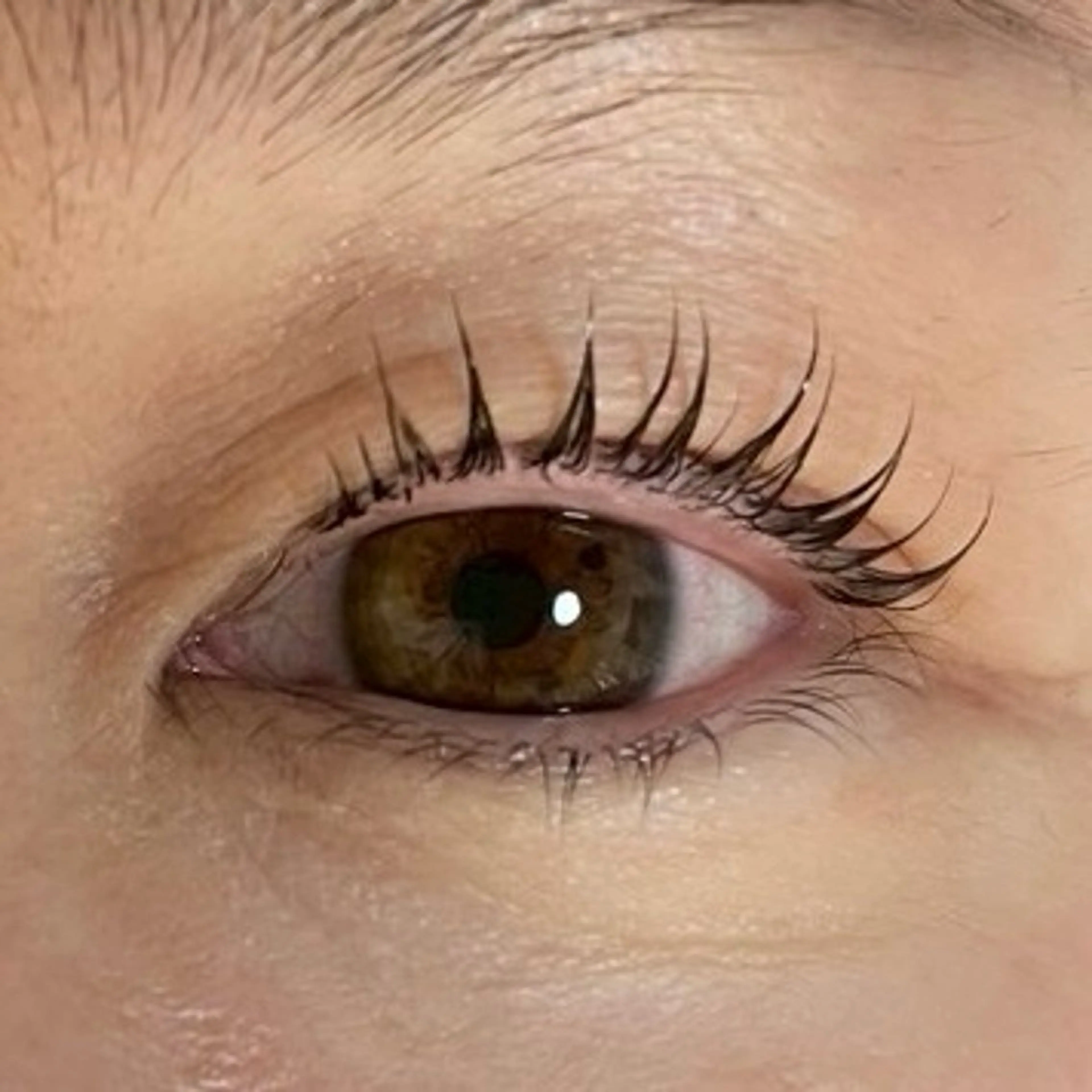 【★期間限定　モデル価格★!】　　　まつ毛パーマの写真